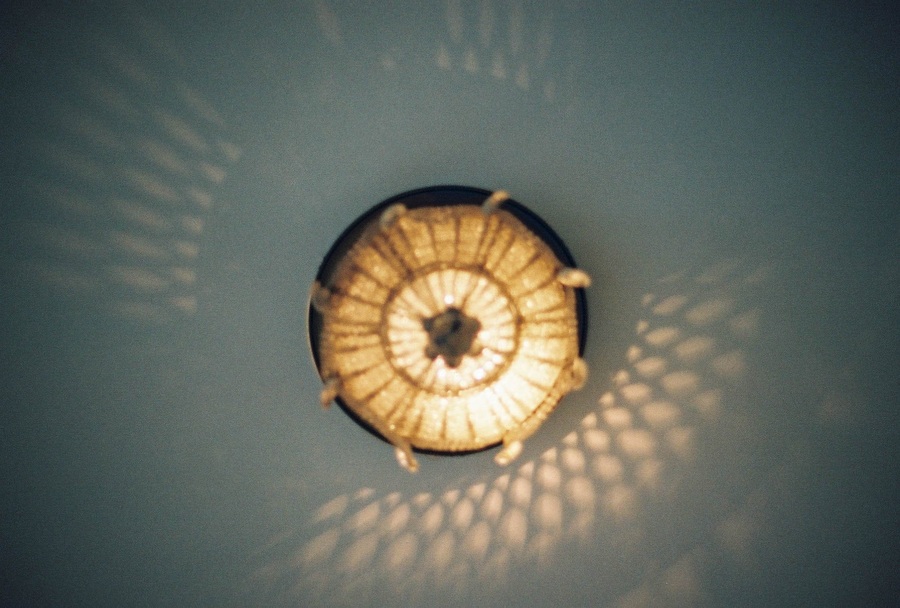 photographic print