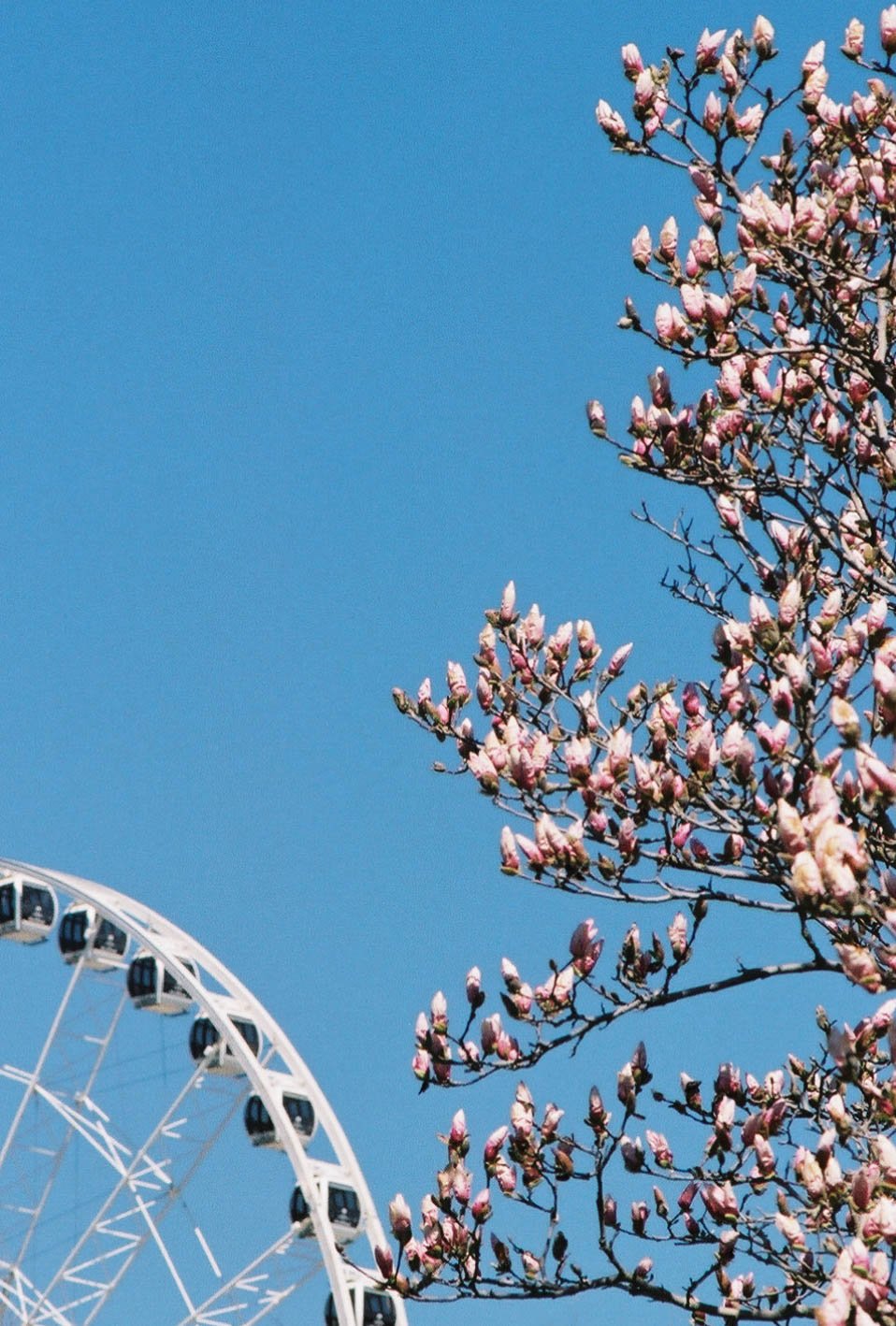 photographic print