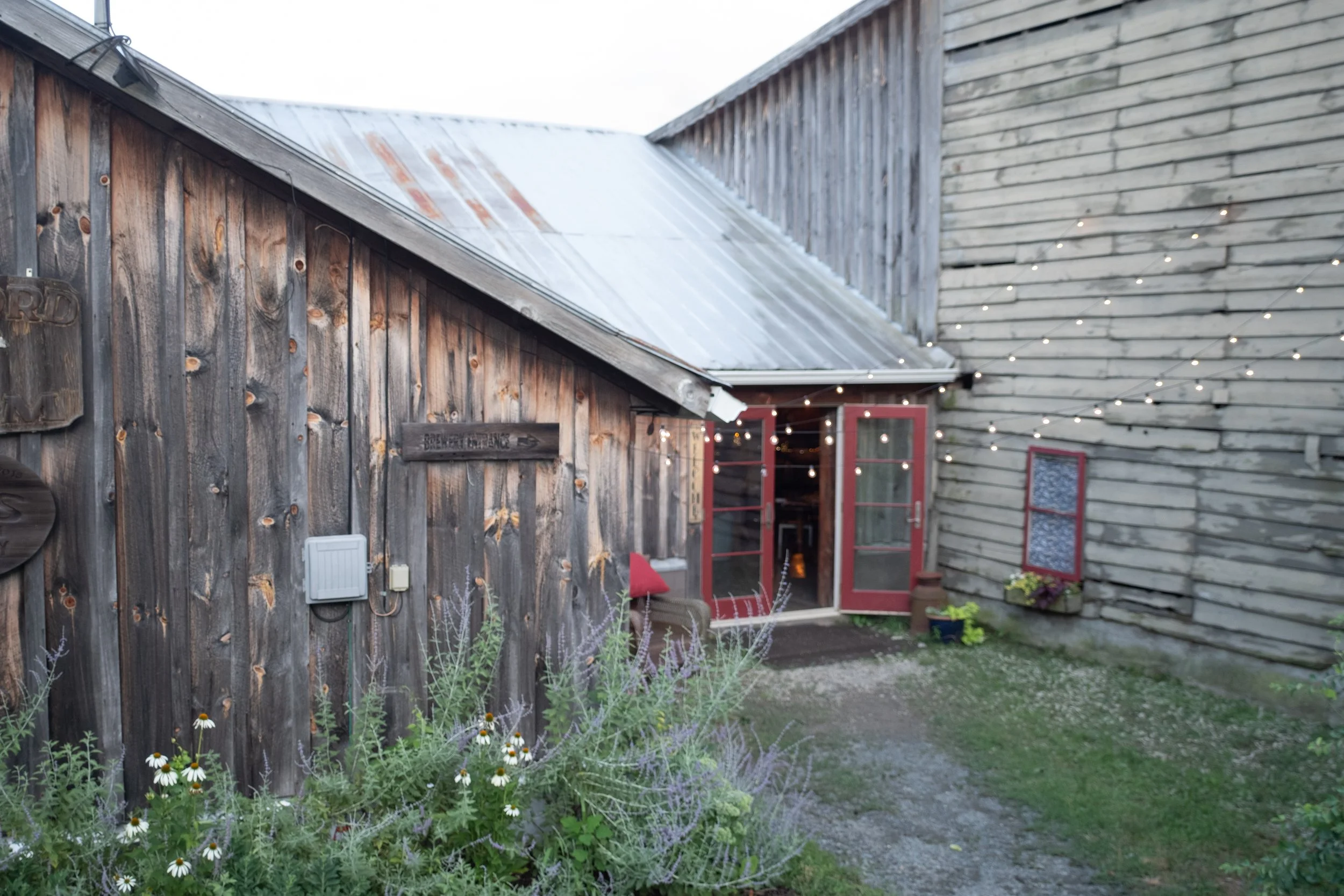 DSCF7329.jpg
