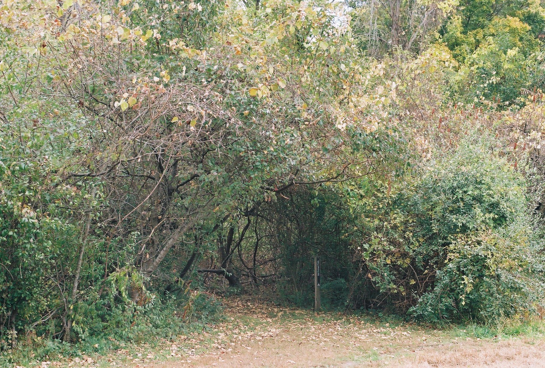 442z000_442z000-R5-042-19A-Edit.jpg