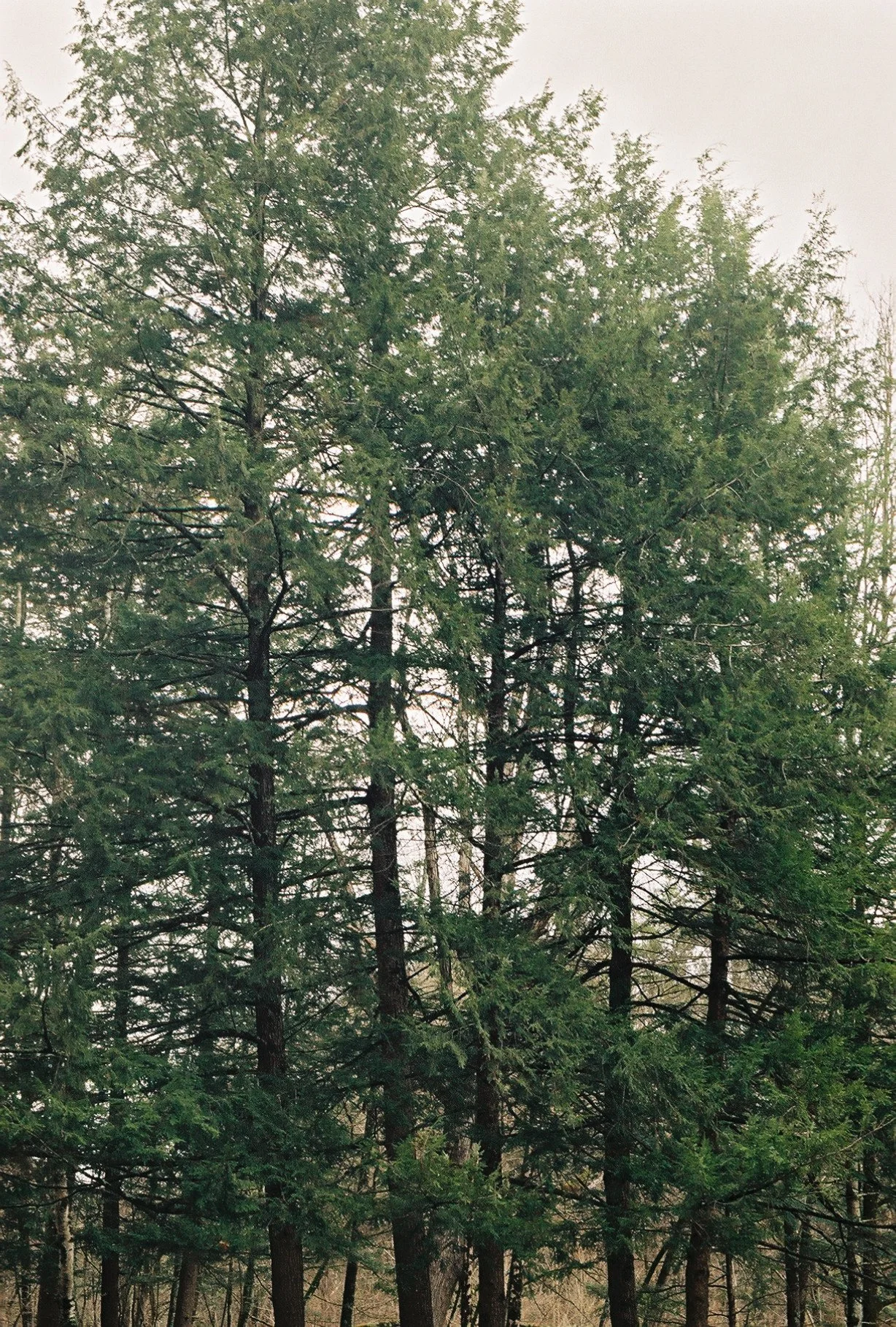514z000_514z000-R10-052-24A.jpg