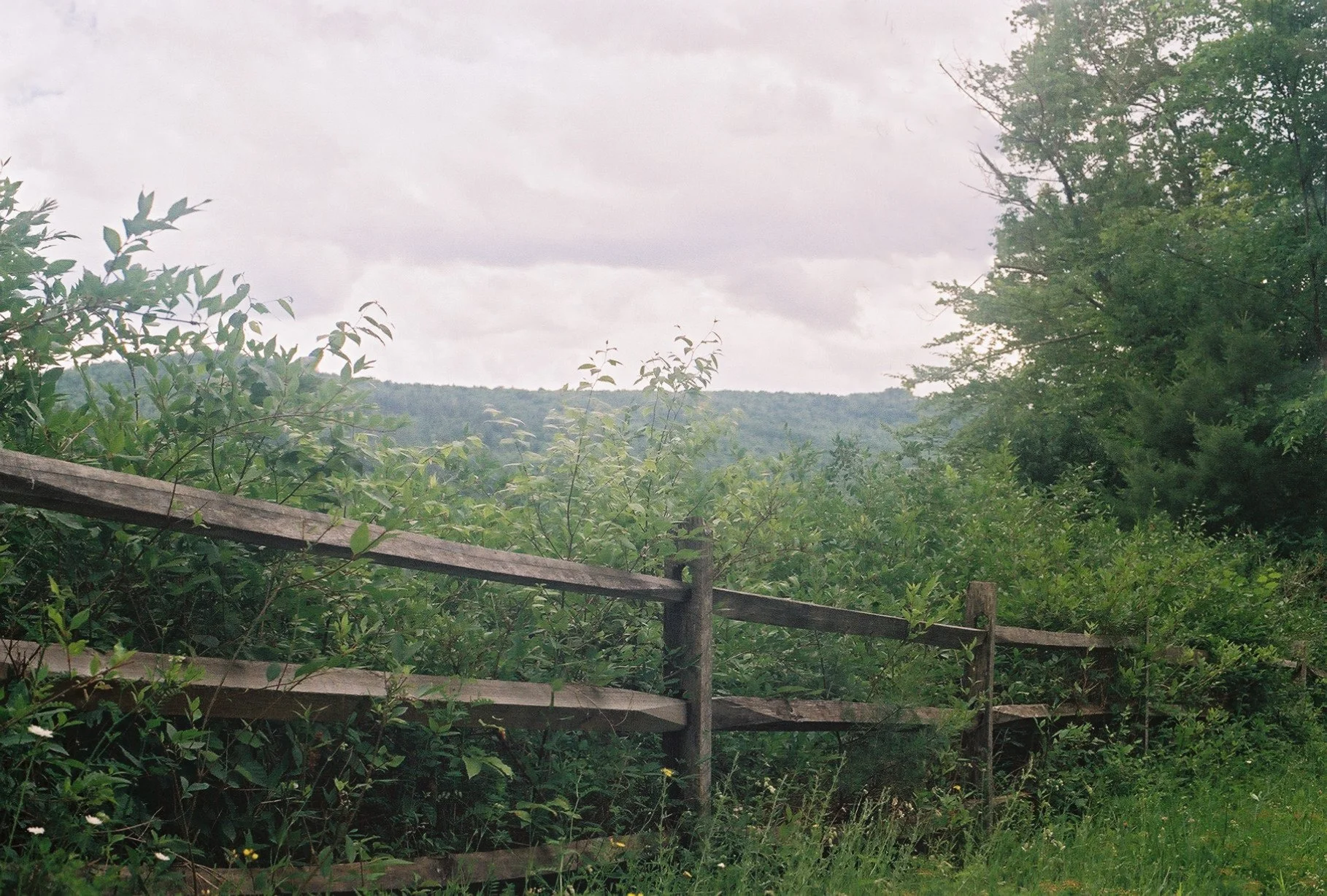 217z000_217z000-R4-024-10A-Edit.jpg