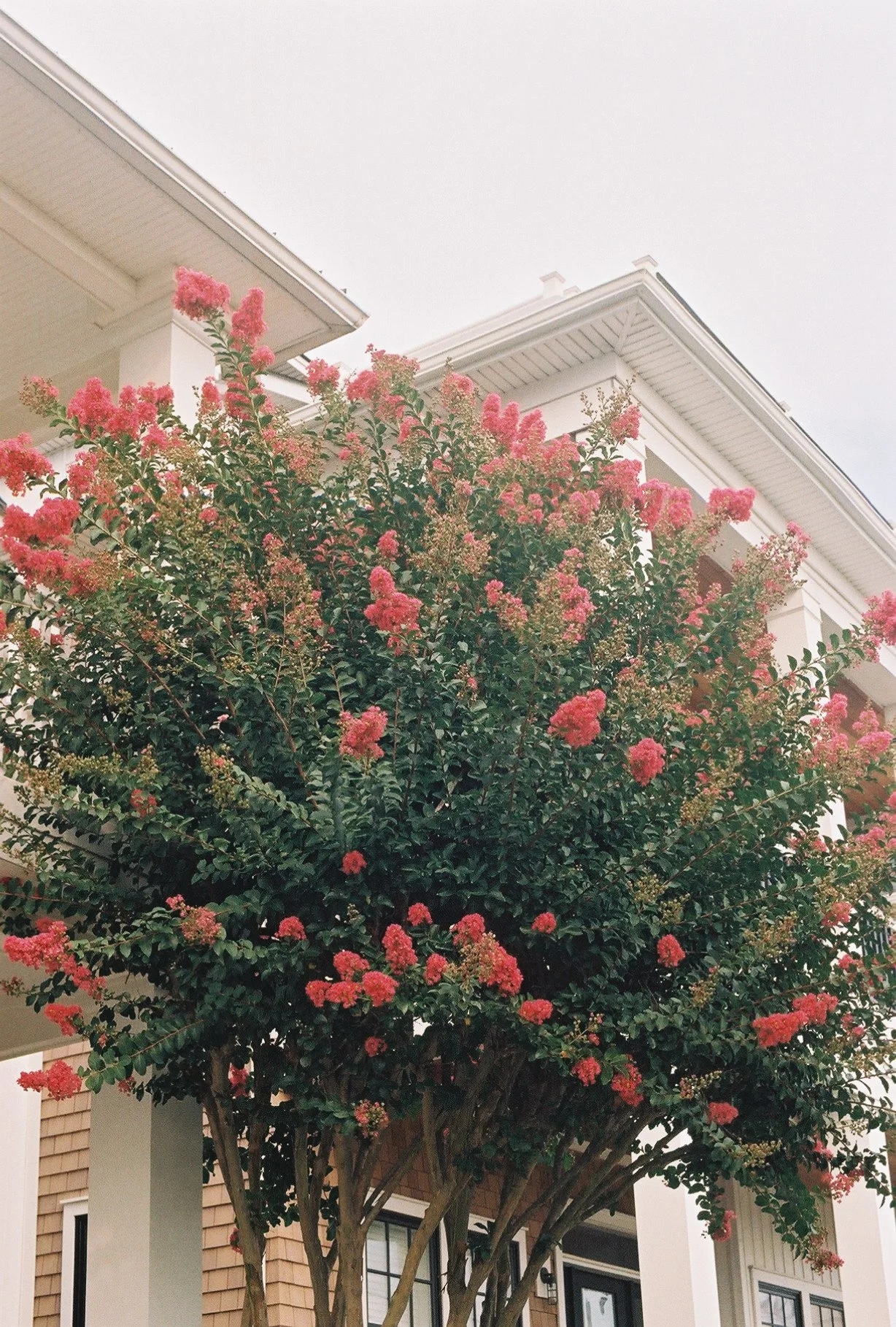 436z000_436z000-R2-031-14.jpg