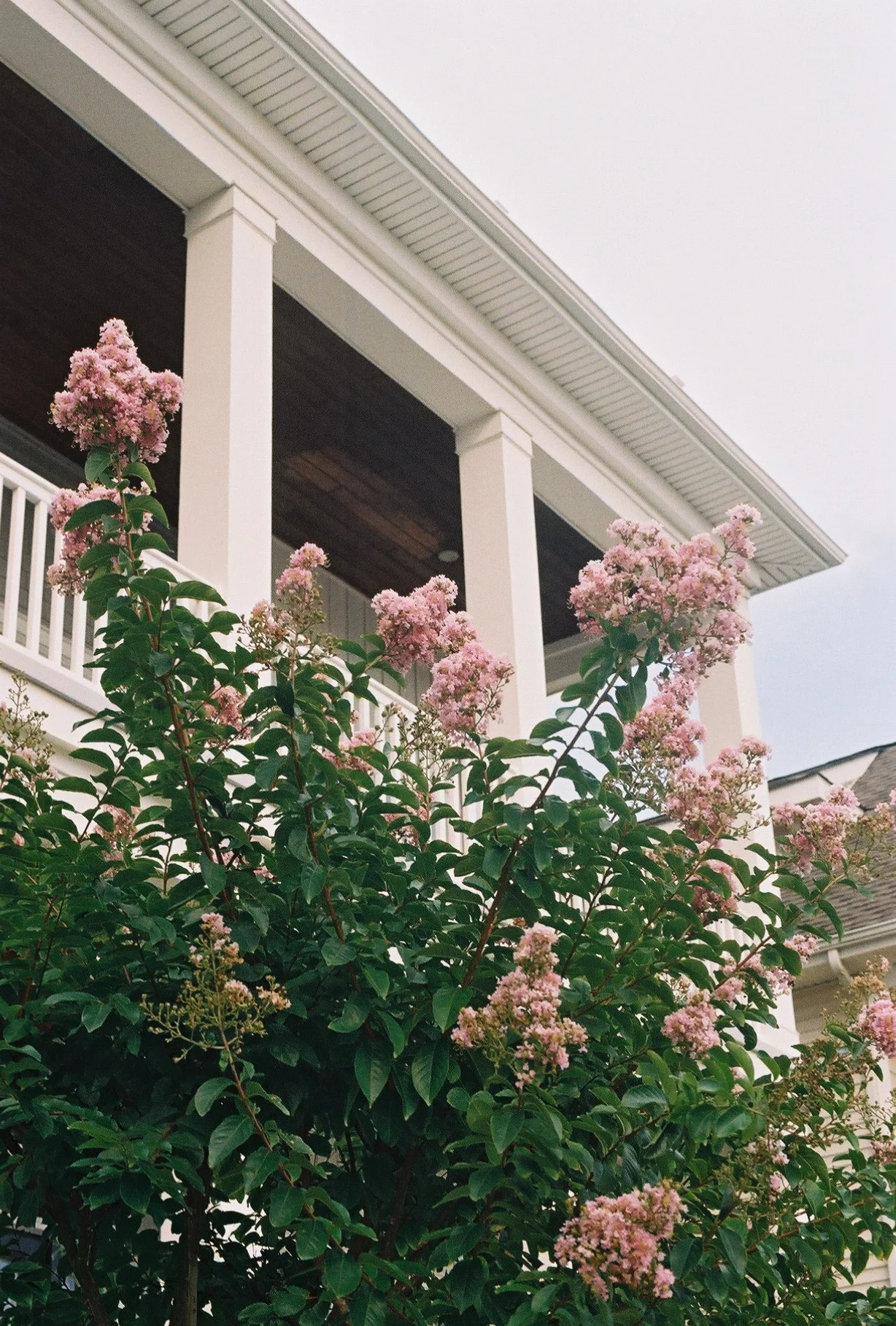 436z000_436z000-R2-033-15.jpg