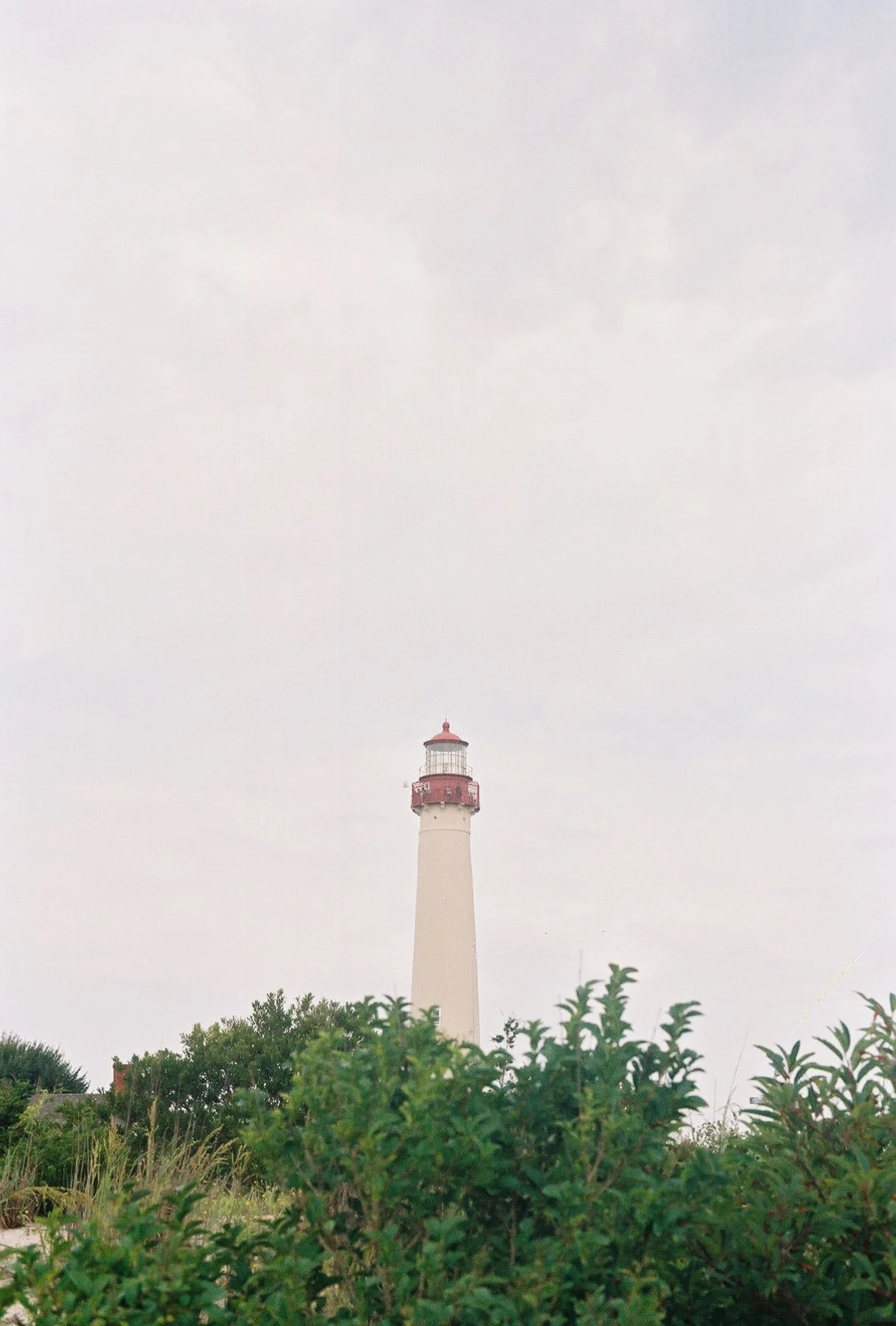 436z000_436z000-R2-077-37.jpg