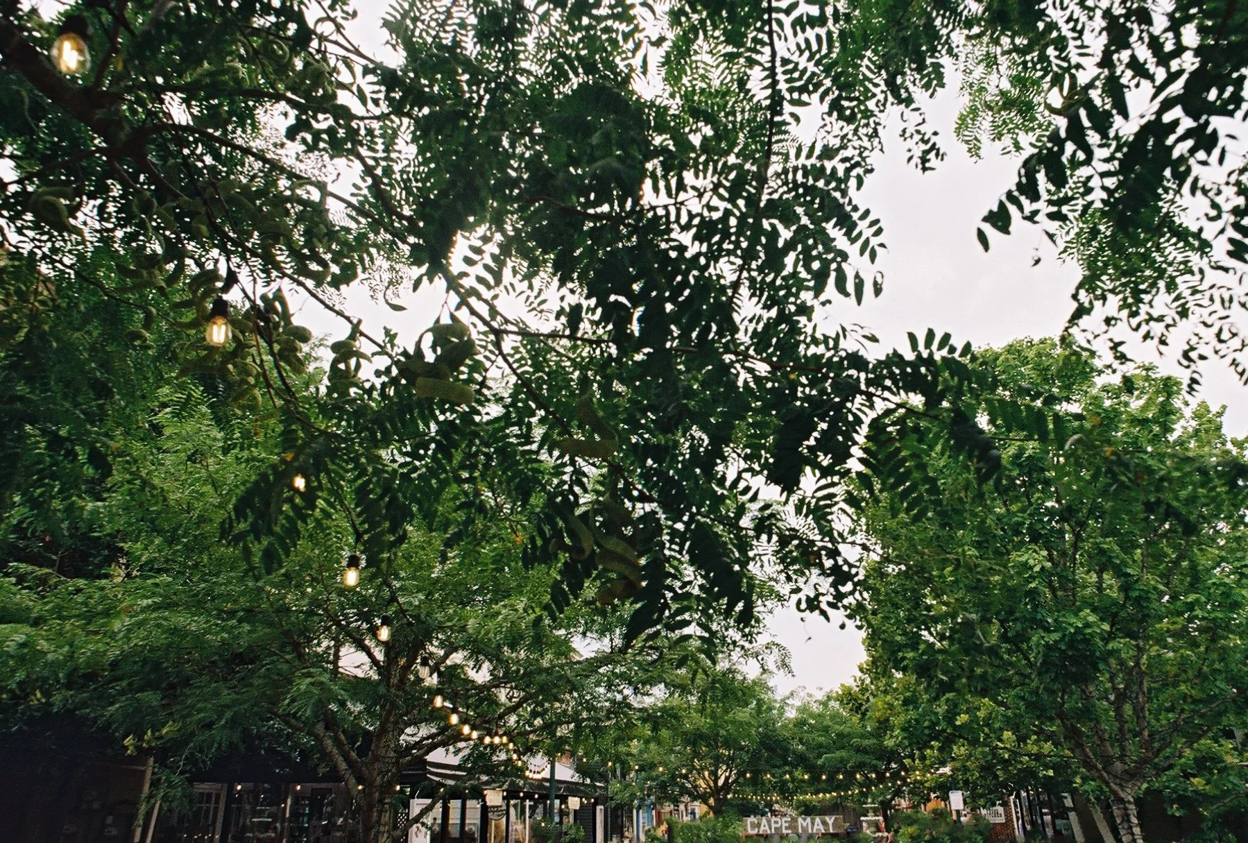 436z000_436z000-R1-014-5A-Edit.jpg