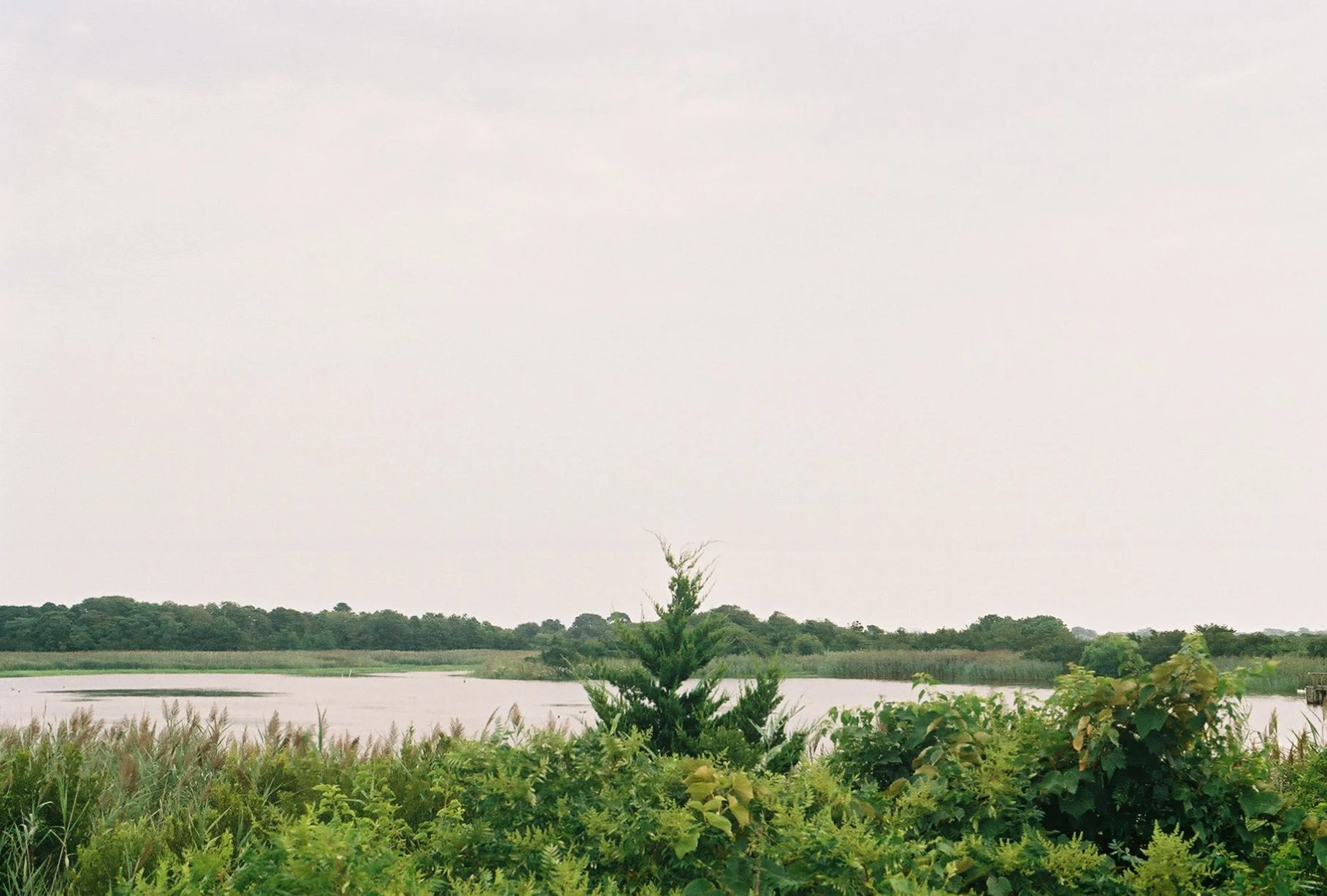 436z000_436z000-R1-008-2A.jpg
