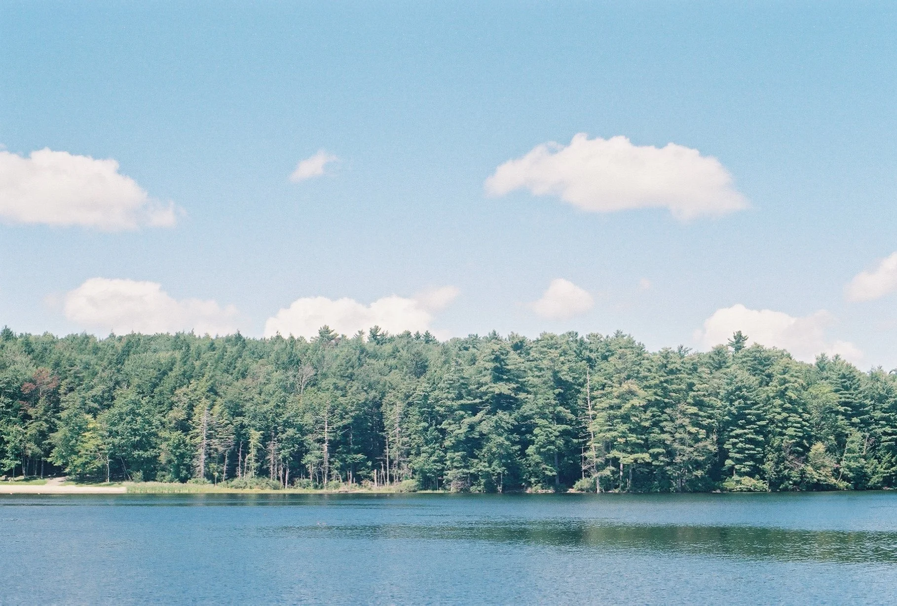 646z000_646z000-R2-051-24-Edit.jpg