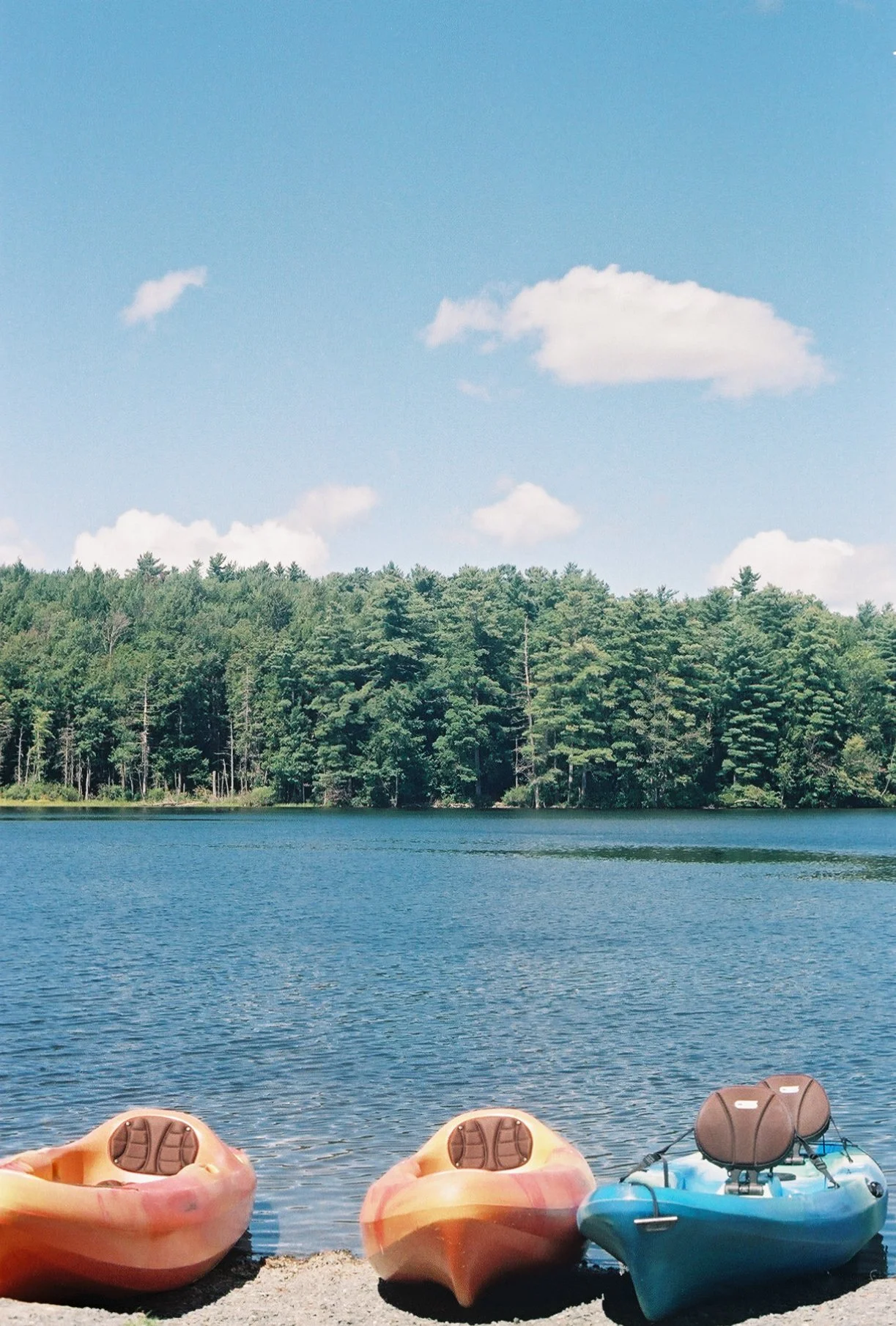 646z000_646z000-R2-055-26.jpg