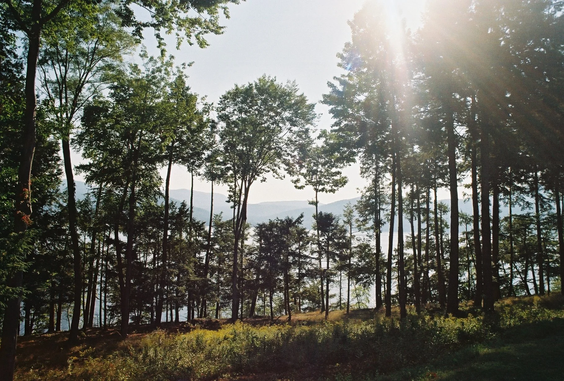 photographic print