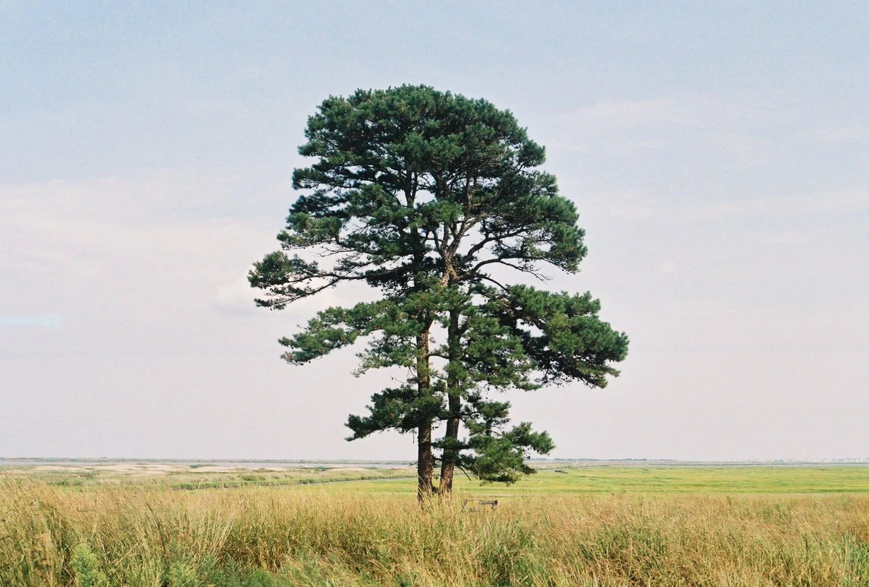 photographic print