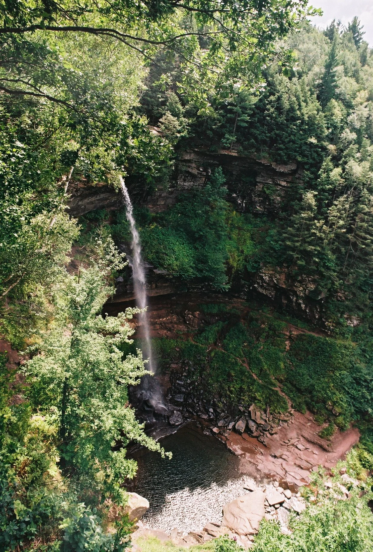 photographic print