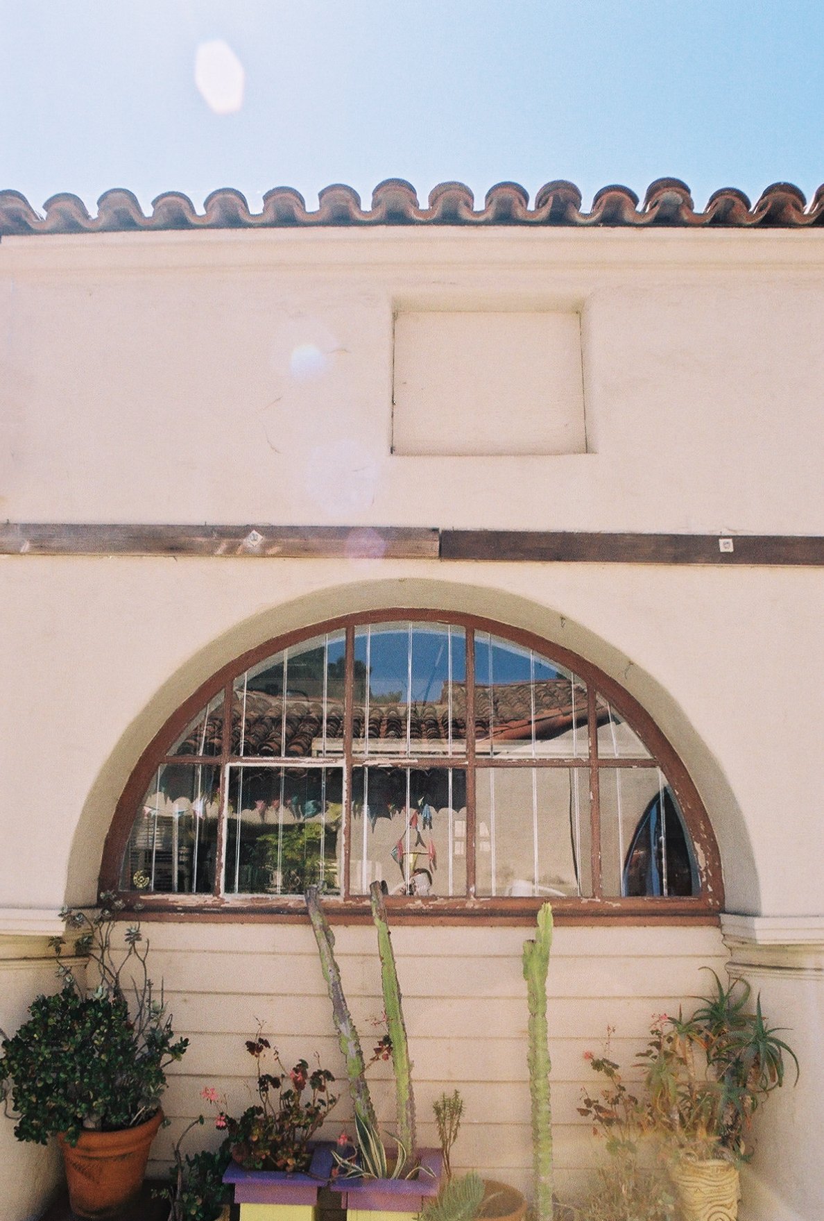 photographic print