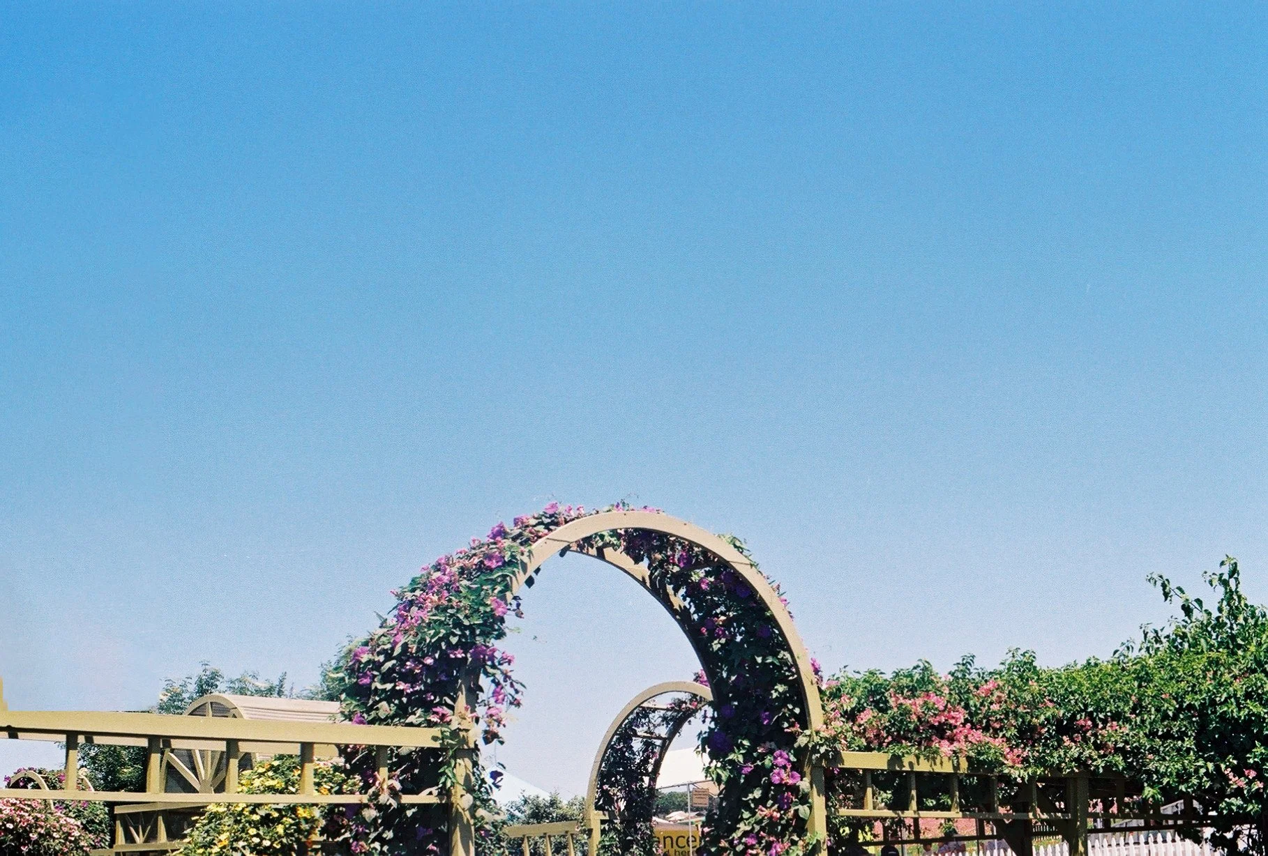 photographic print