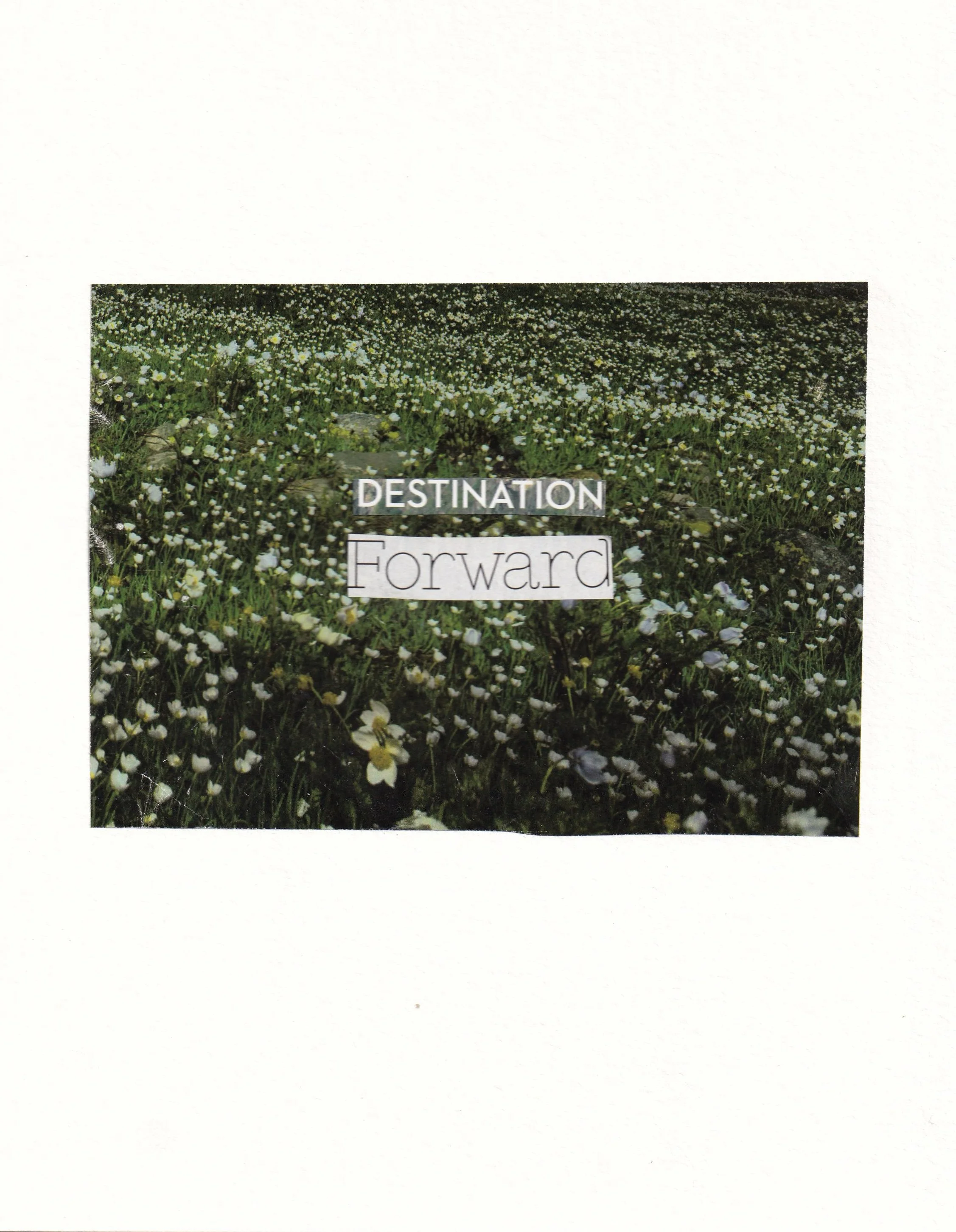 'Desination Forward' collage