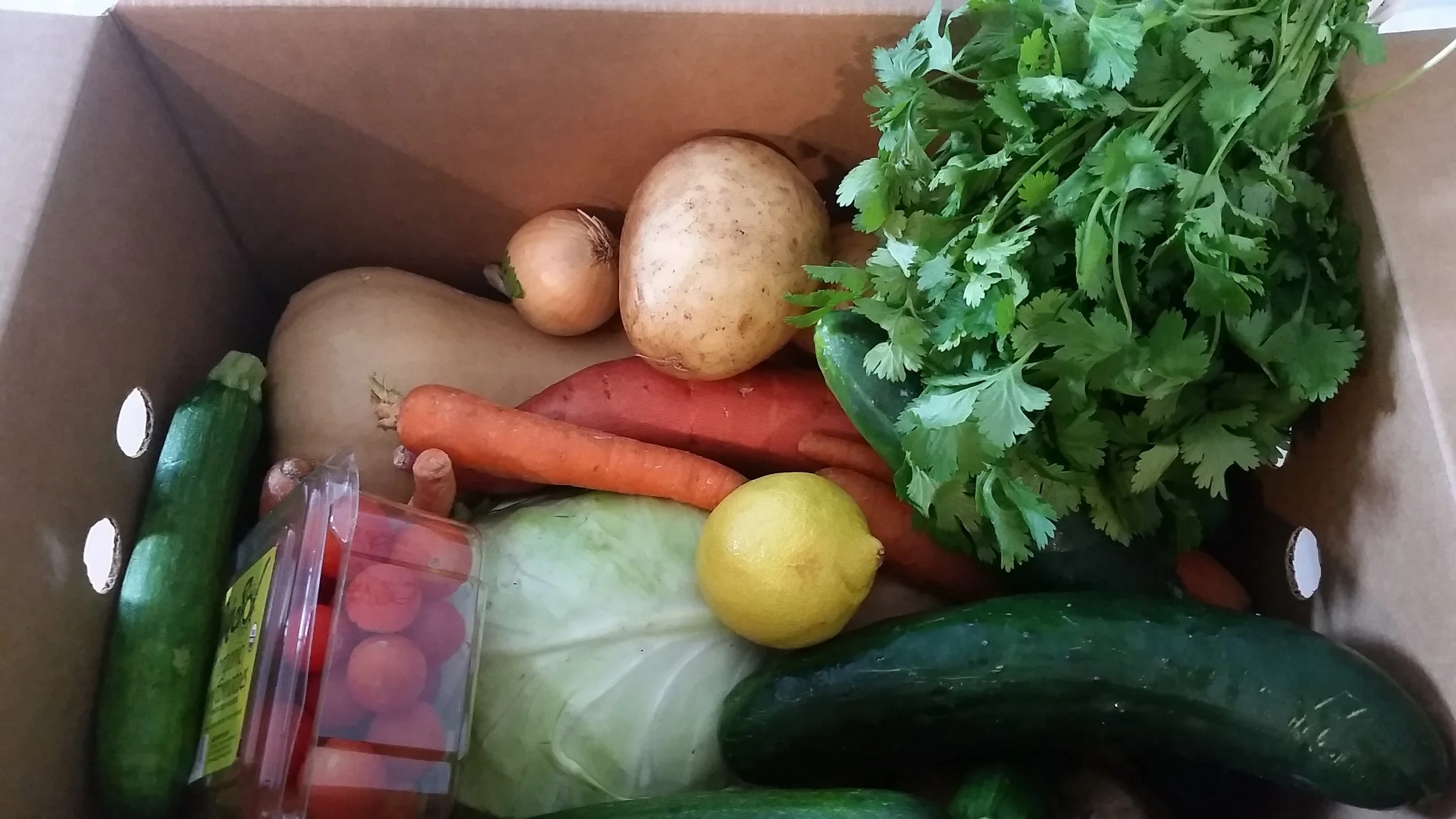 Healthy eating on a budget