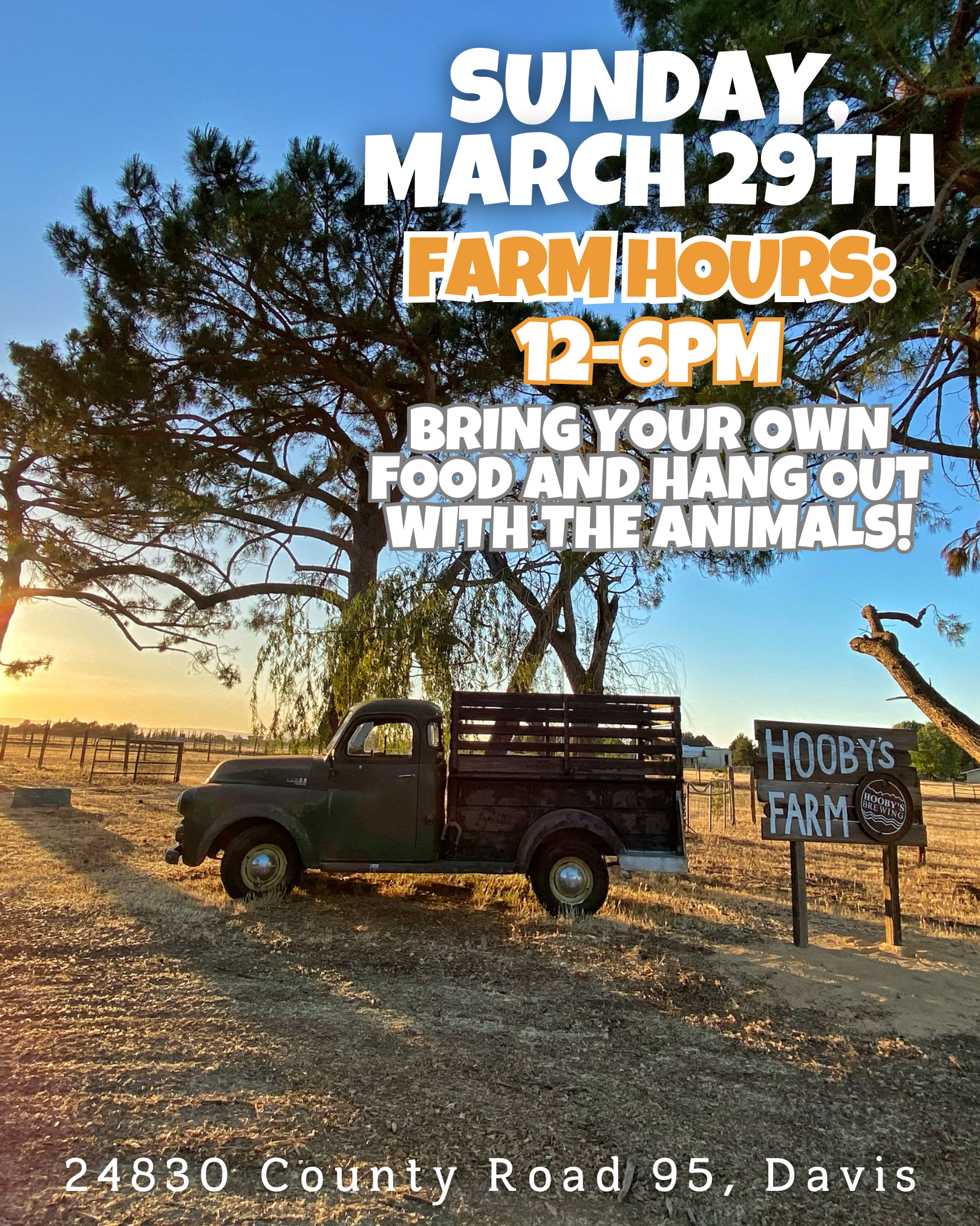 Hooby’s Farm Season Opening!