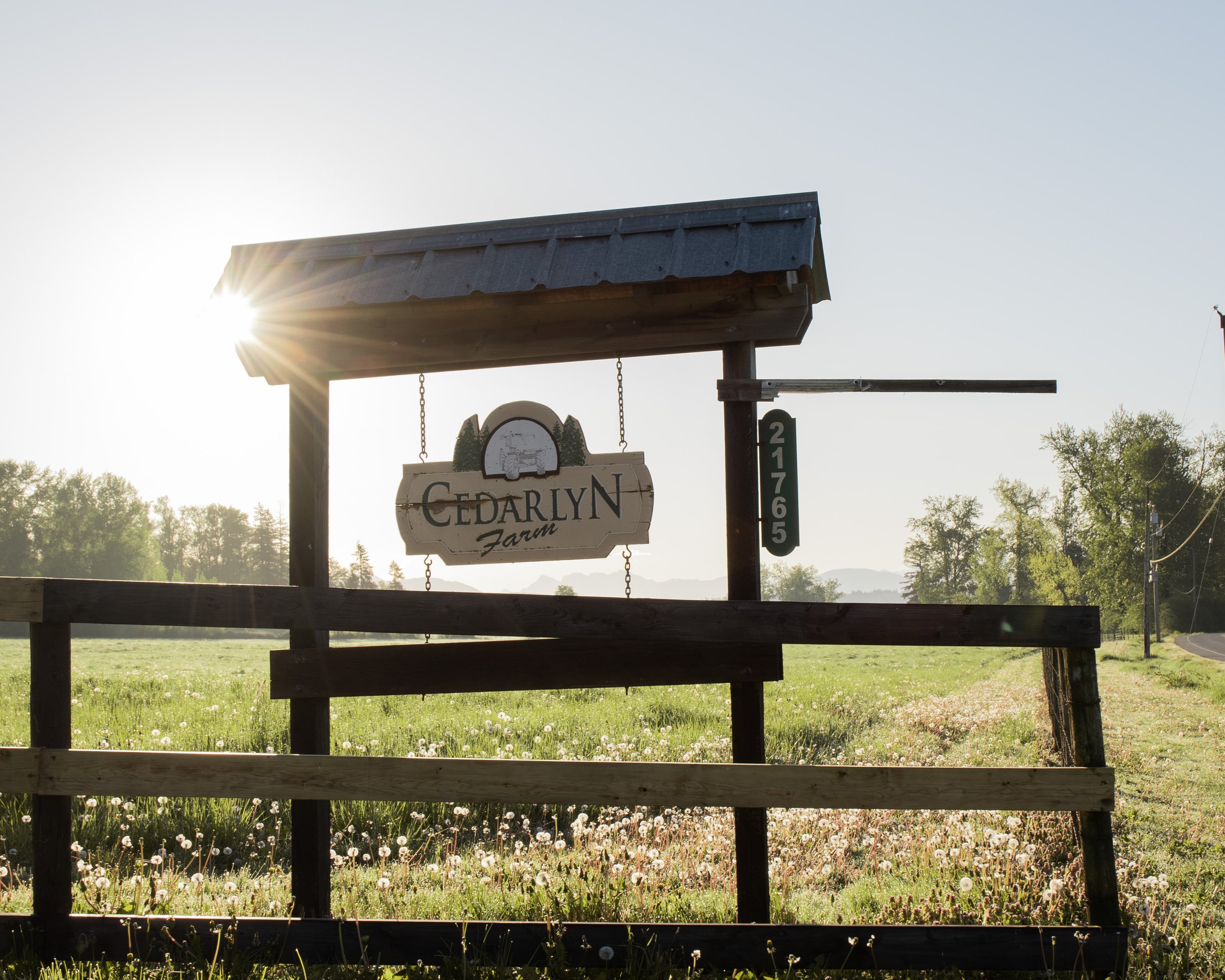 1-1-5.jpg