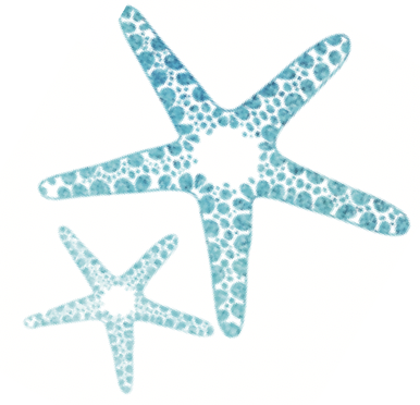 2 starfish .png