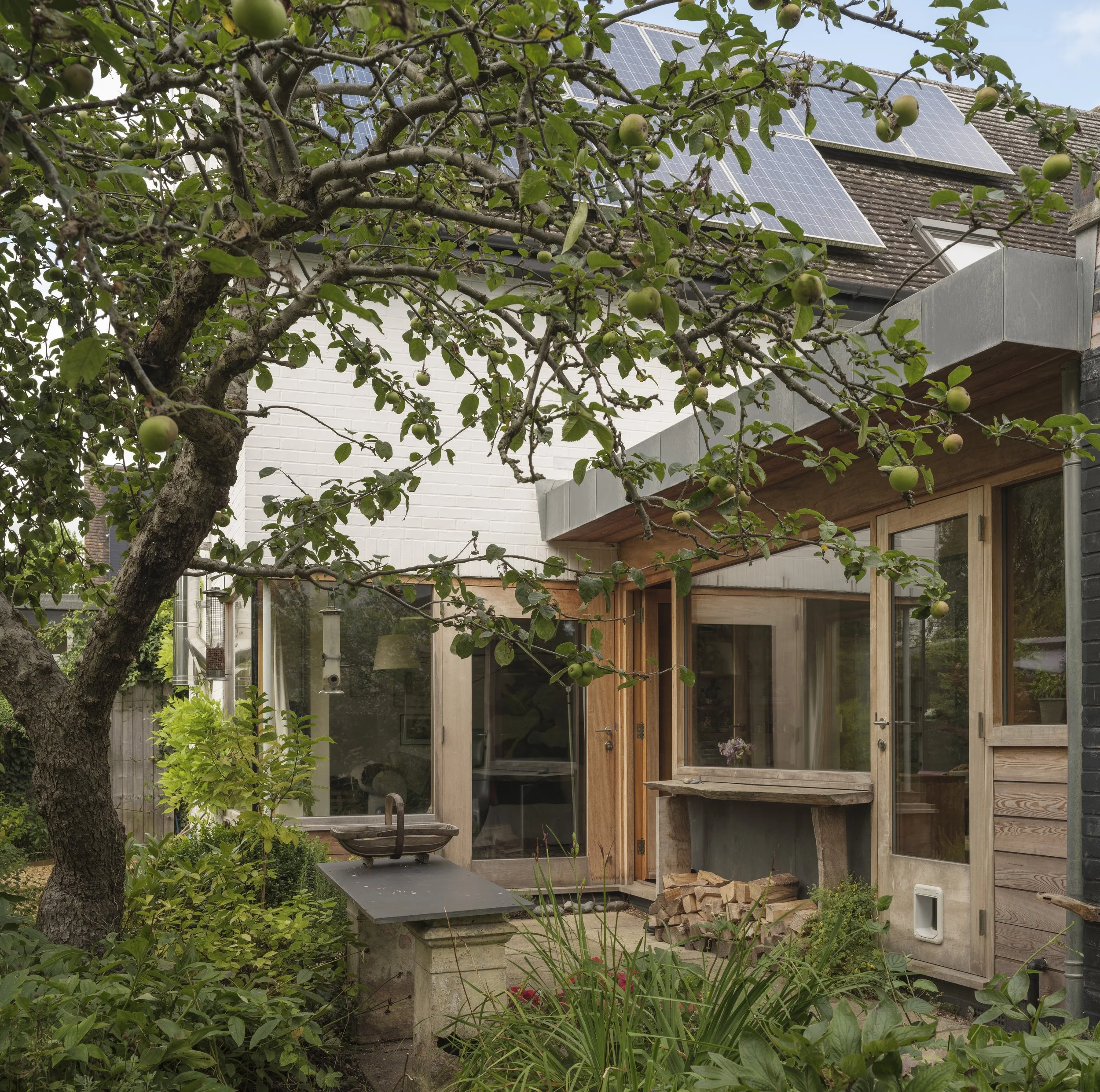 A garden with a fruit tree holding green apples, a bird bath, and a modern house with solar panels on the roof and large windows.