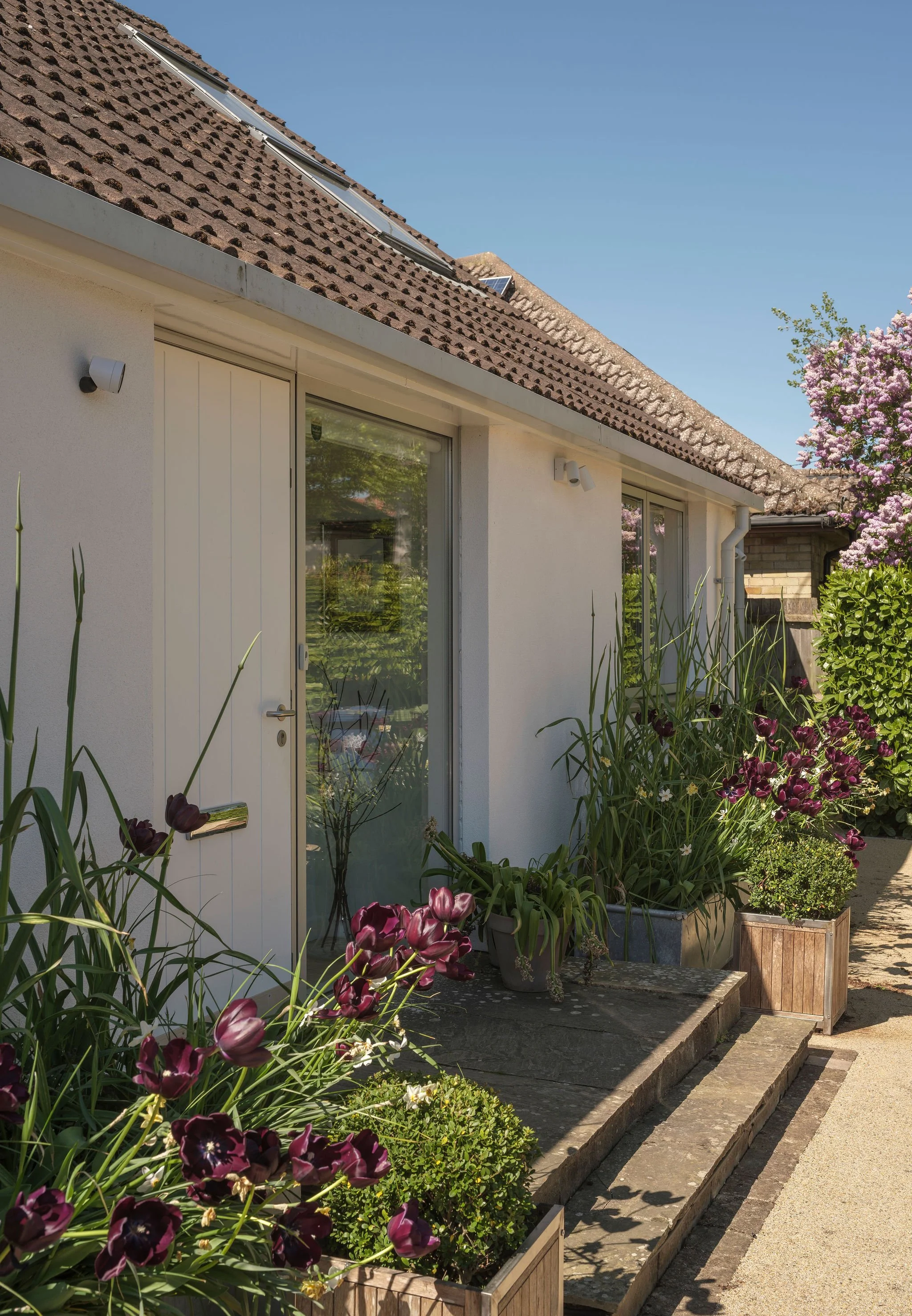 A house with a glass door and outdoor plants, including purple tulips and flowering bushes, under a clear blue sky.
