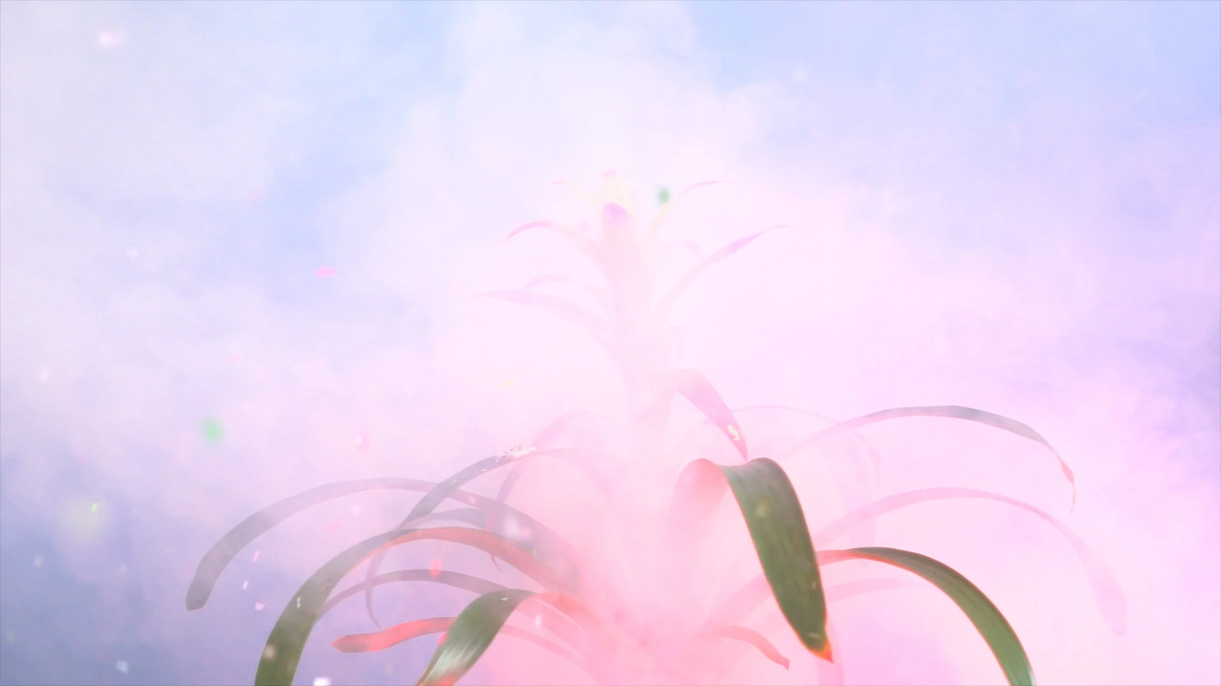 PLANTY SCREEN GRAB.jpg