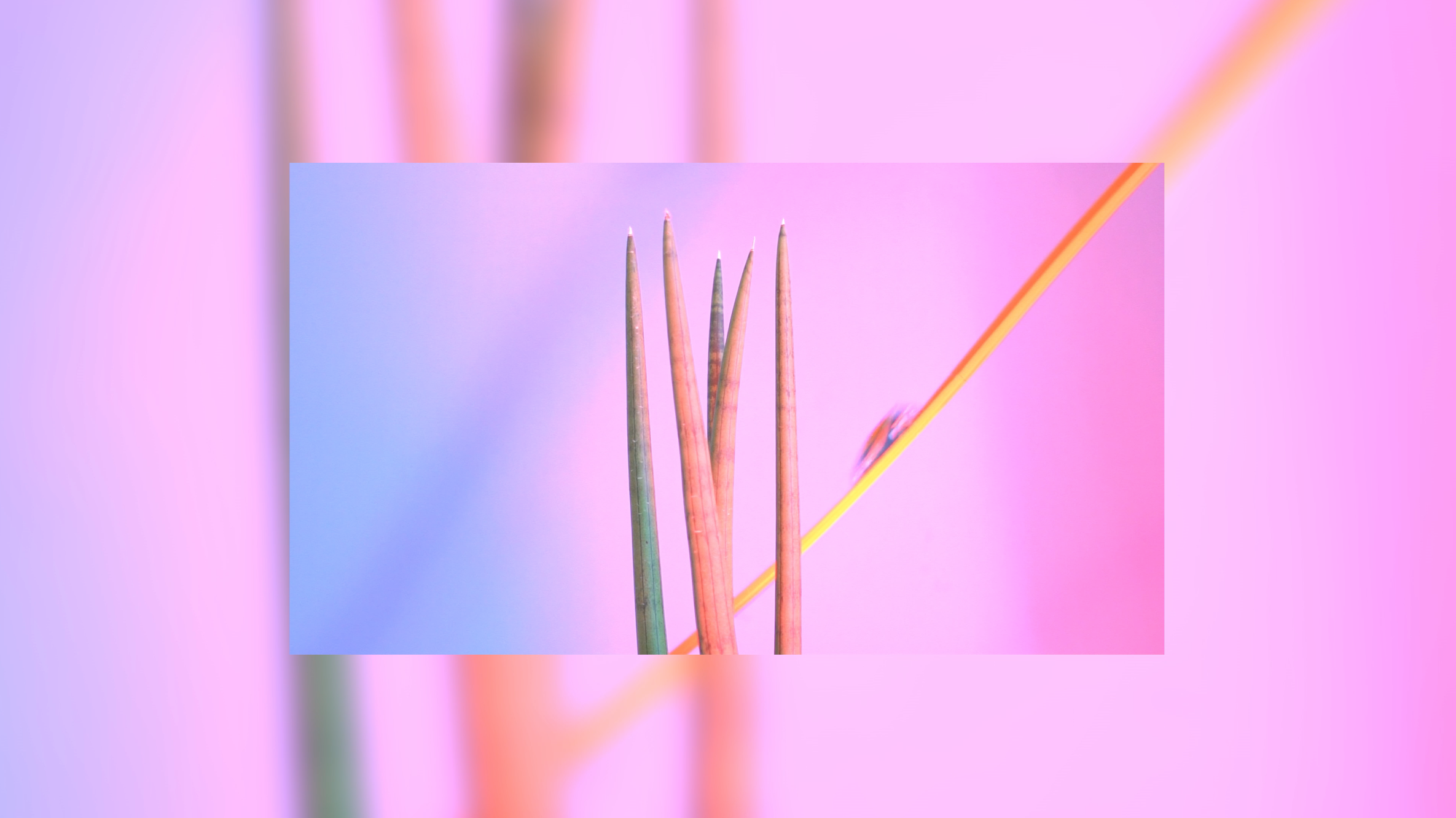Screen Shot 2018-07-30 at 6.43.02 PM.png