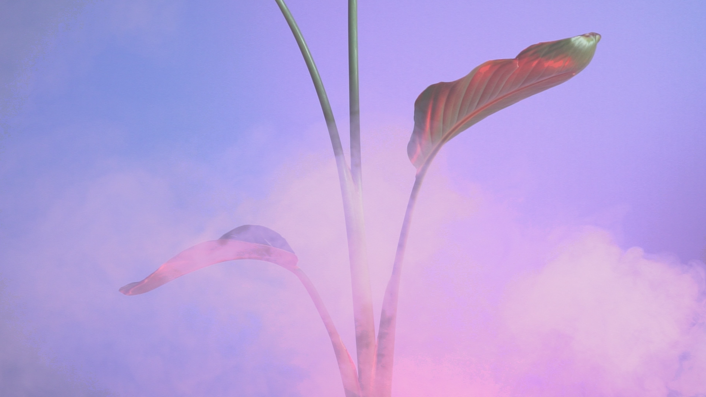 Screen Shot 2018-07-30 at 6.40.34 PM.png