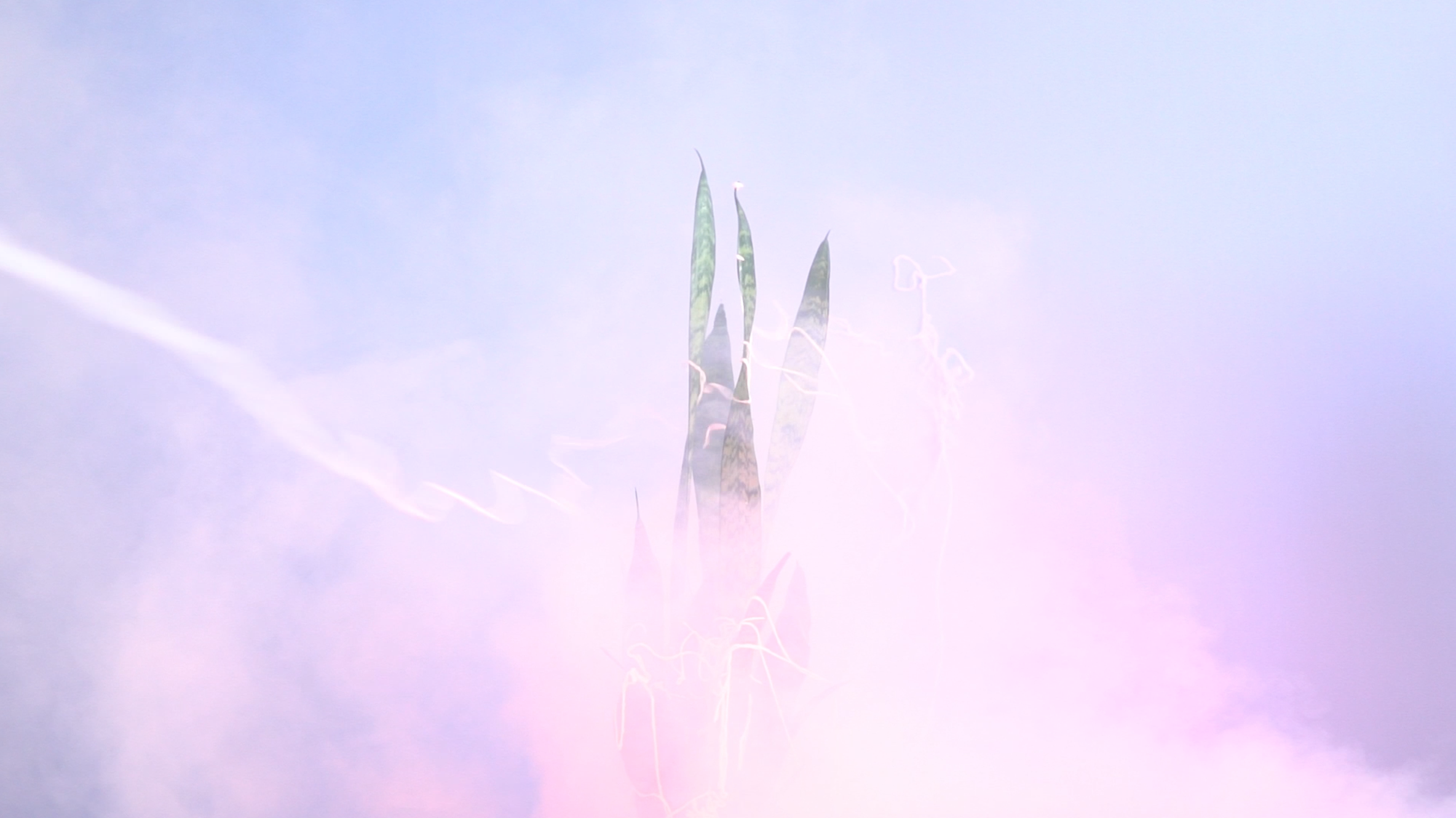 Screen Shot 2018-07-30 at 6.42.10 PM.png