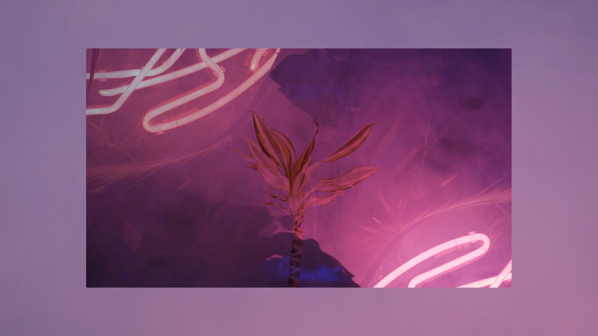 Screen Shot 2018-07-30 at 6.39.27 PM.png