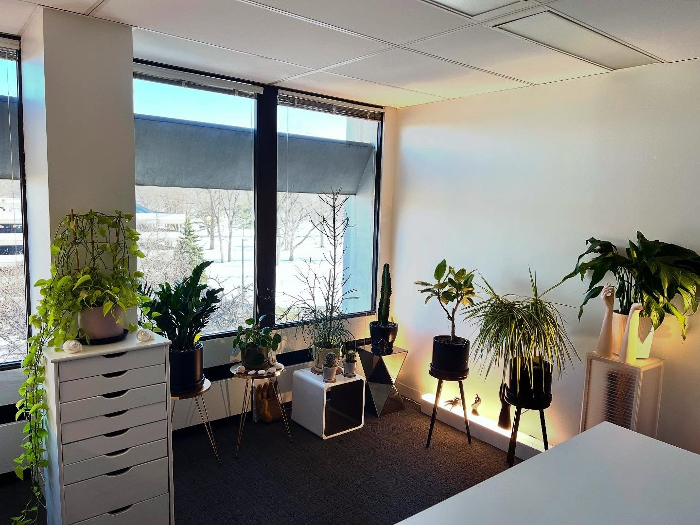 My work colleagues. What would I do without them? #designerlife #lightingdesign #lightandarchitecture #lightingdesigner #plantaddict #plantlove #plantmom