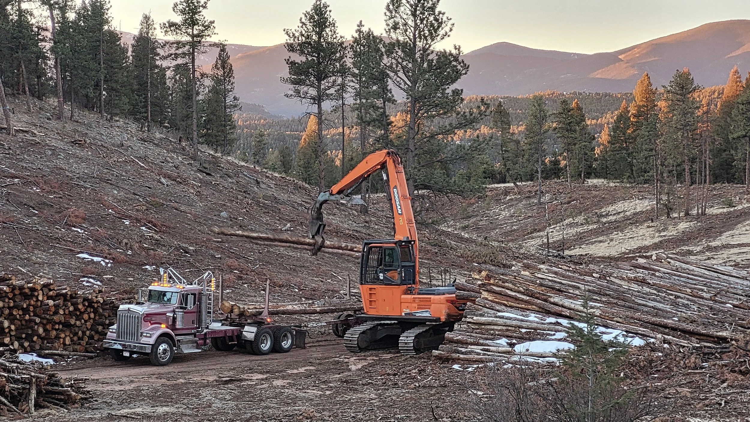 Loading Rose - Jeffco.jpg