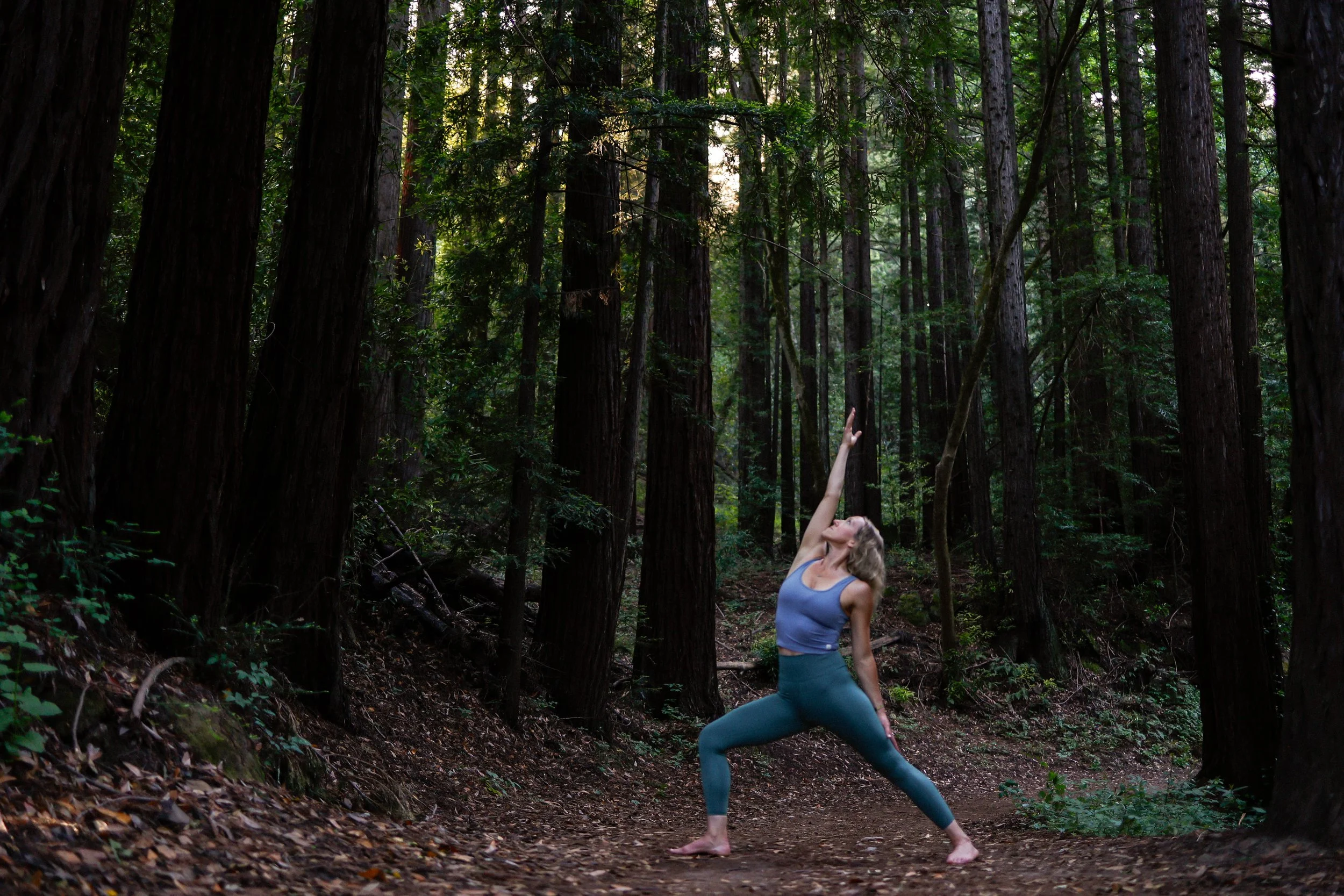 Yoga in the redwoods