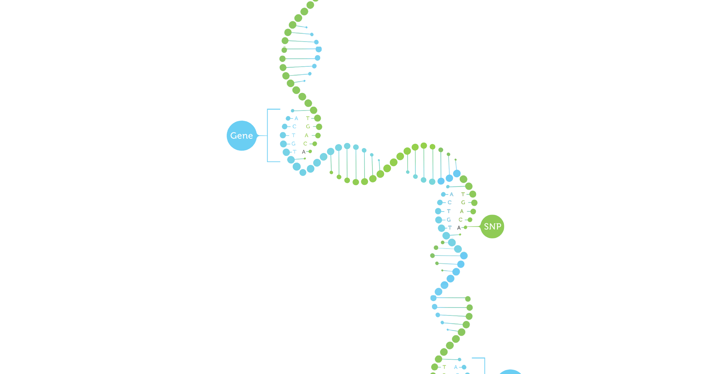 Our Science DNA-05.png