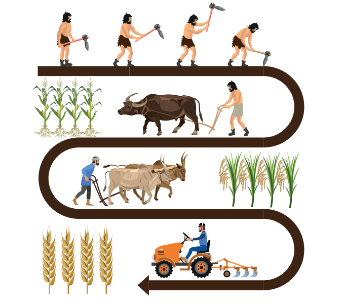 Blog 1 - Evolution.png