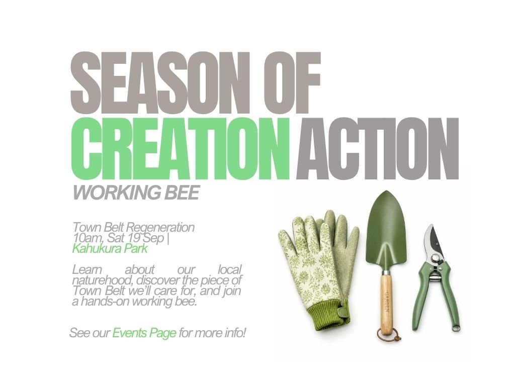 Working Bee - Creation Care Action