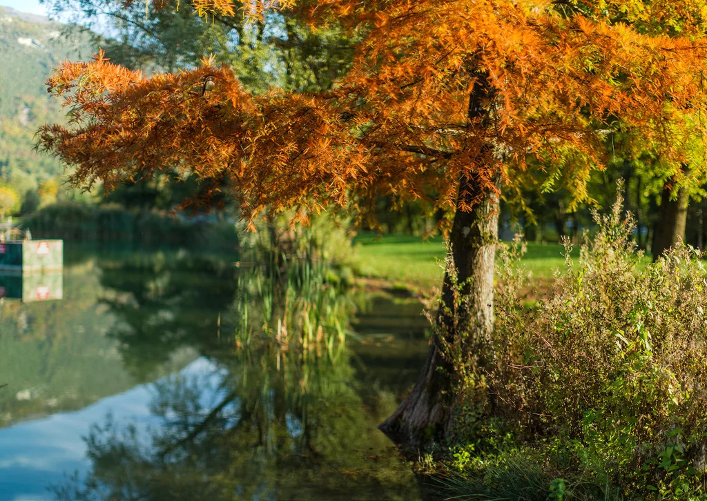 Challes-les-Eaux_22396383805_l.jpg