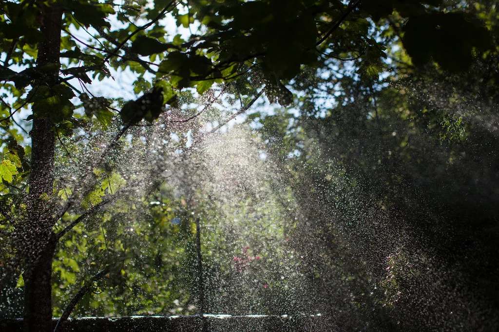 Making rain_14556093518_l.jpg