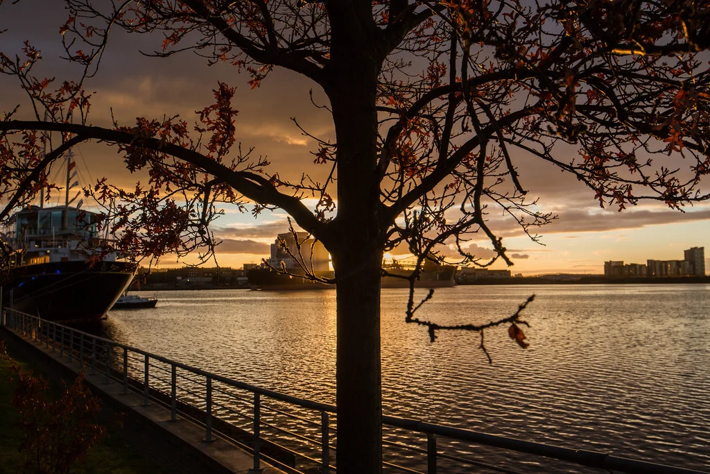 Sunset at the docks_25268868090_l.jpg