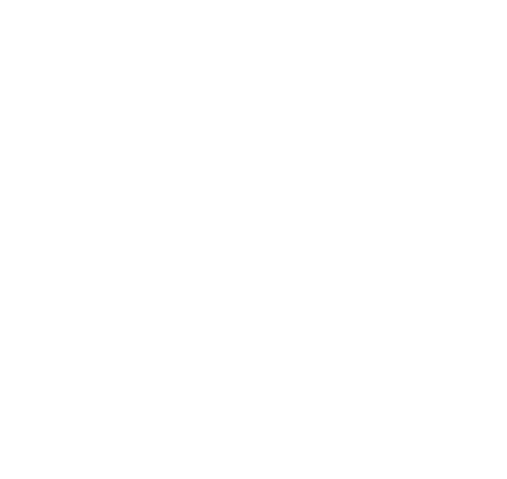 Blacksmith
