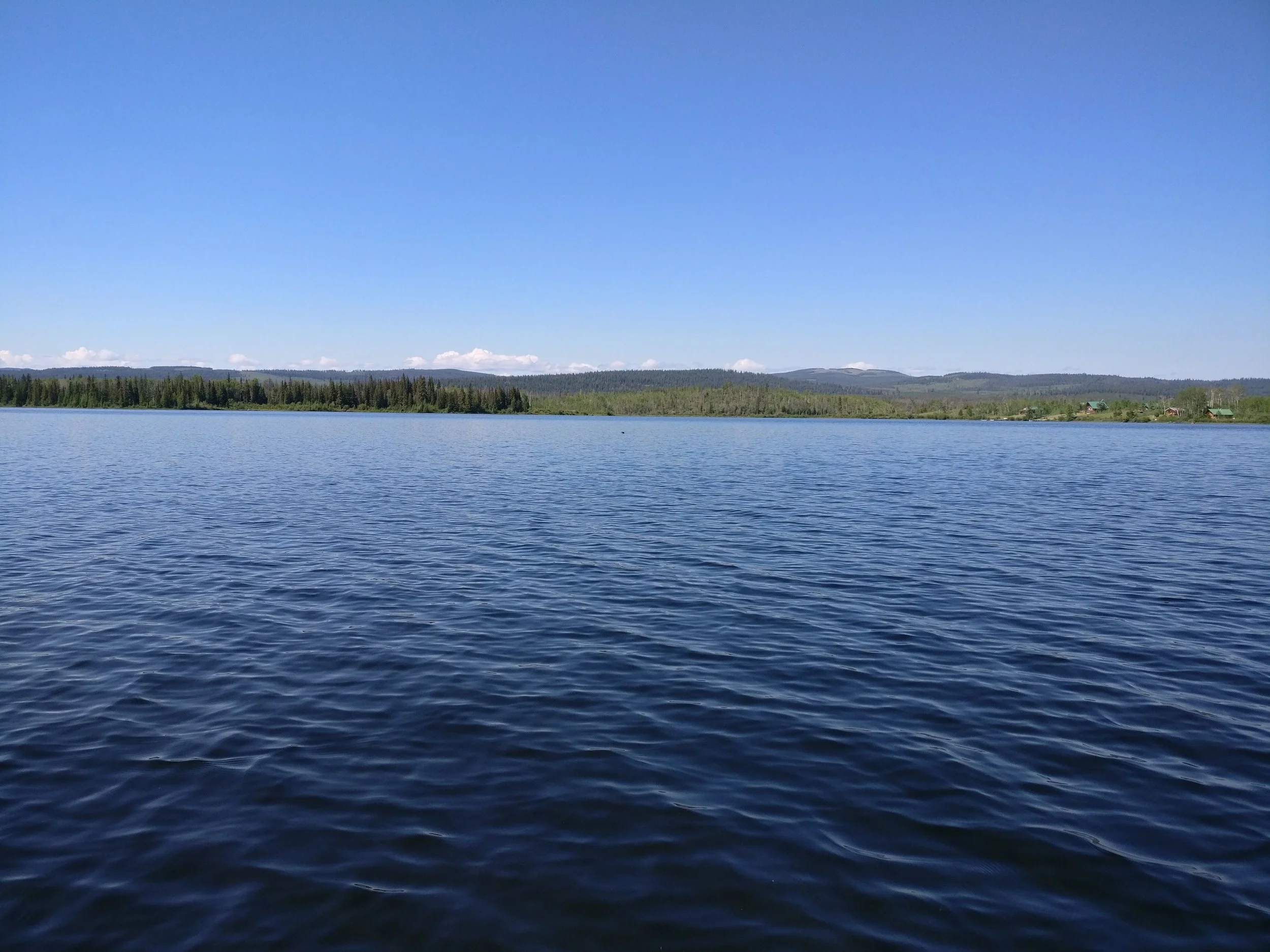 Archive: Relying on the Scale