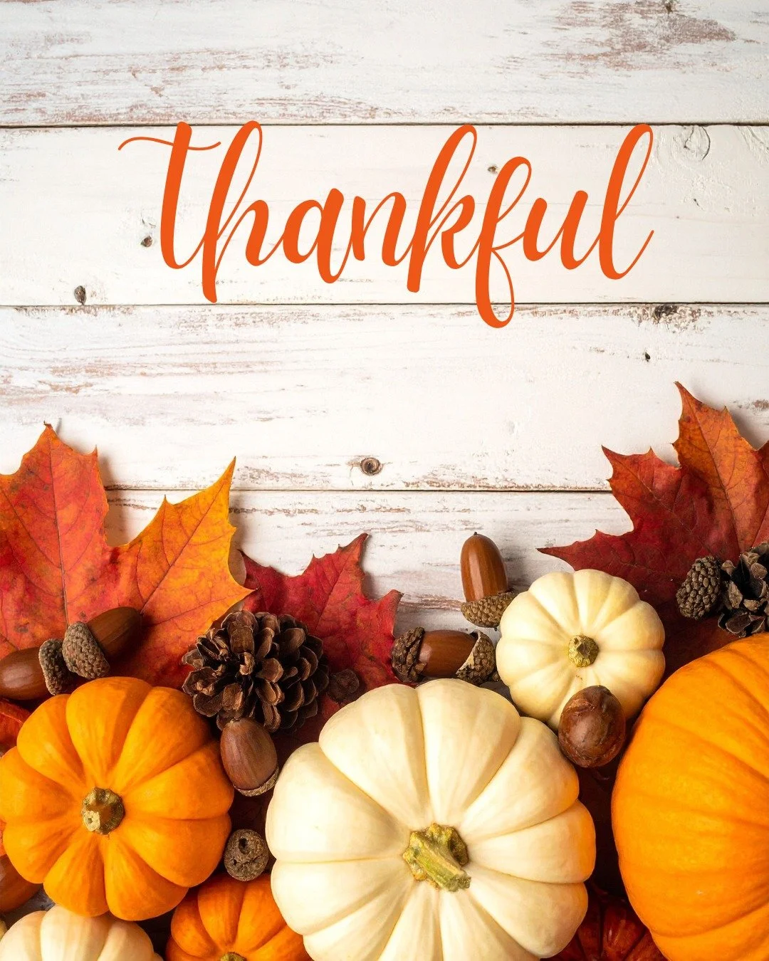 Today and everyday we are thankful for our members, partners, the St. Louis community and so much more! Wishing you and your loved ones a very happy Thanksgiving!
.
.
.
.
.
#happythanksgiving #grateful #thankful #thanksgiving #turkeyday #thriveco #st