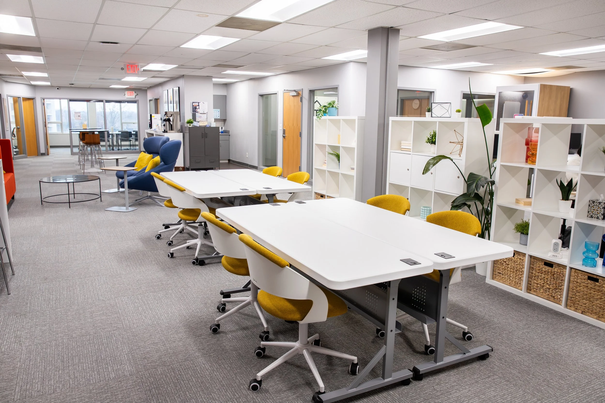 ThriveCo T1 Update-39 (1).jpg