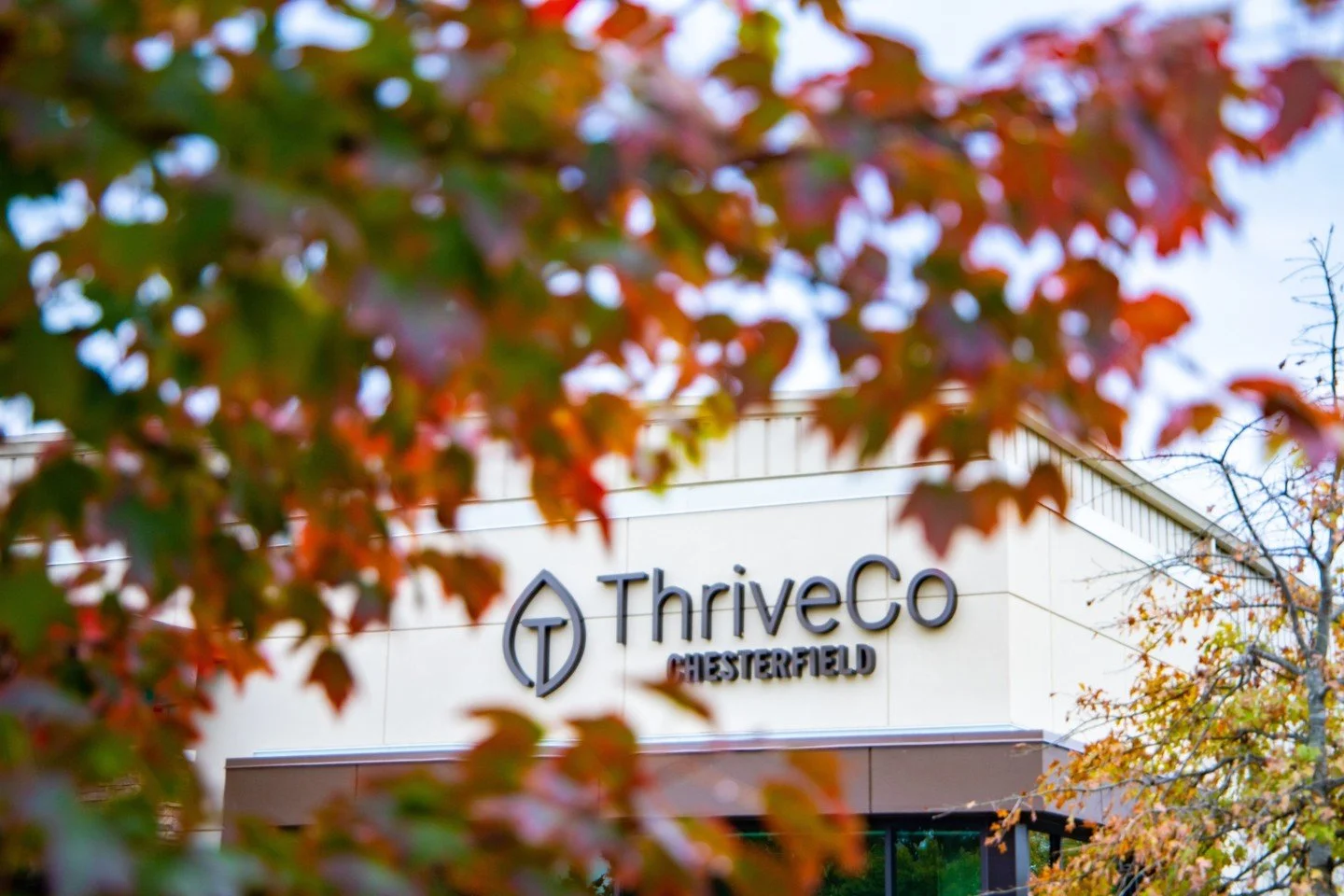 Meetings with a view? Yes, please.

Fall might just be our favorite time of year to book the Board Room at ThriveCo Chesterfield. Those gorgeous colors outside the windows make even a Monday morning meeting a little better. ✨️

Have a big meeting, te