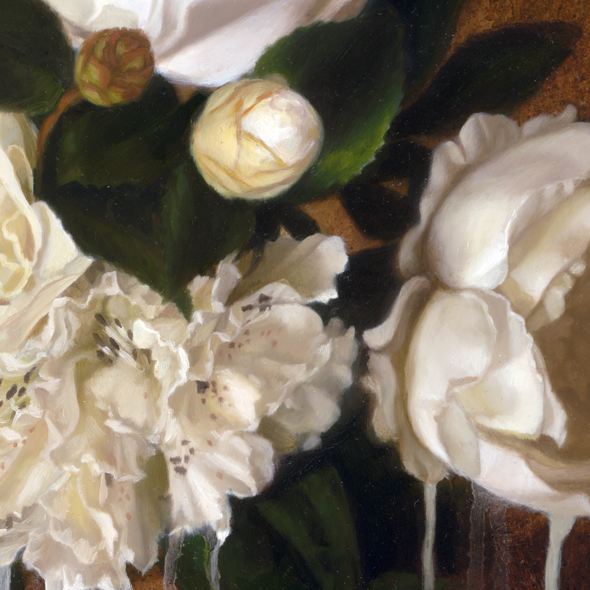 Albescent bloom - detail