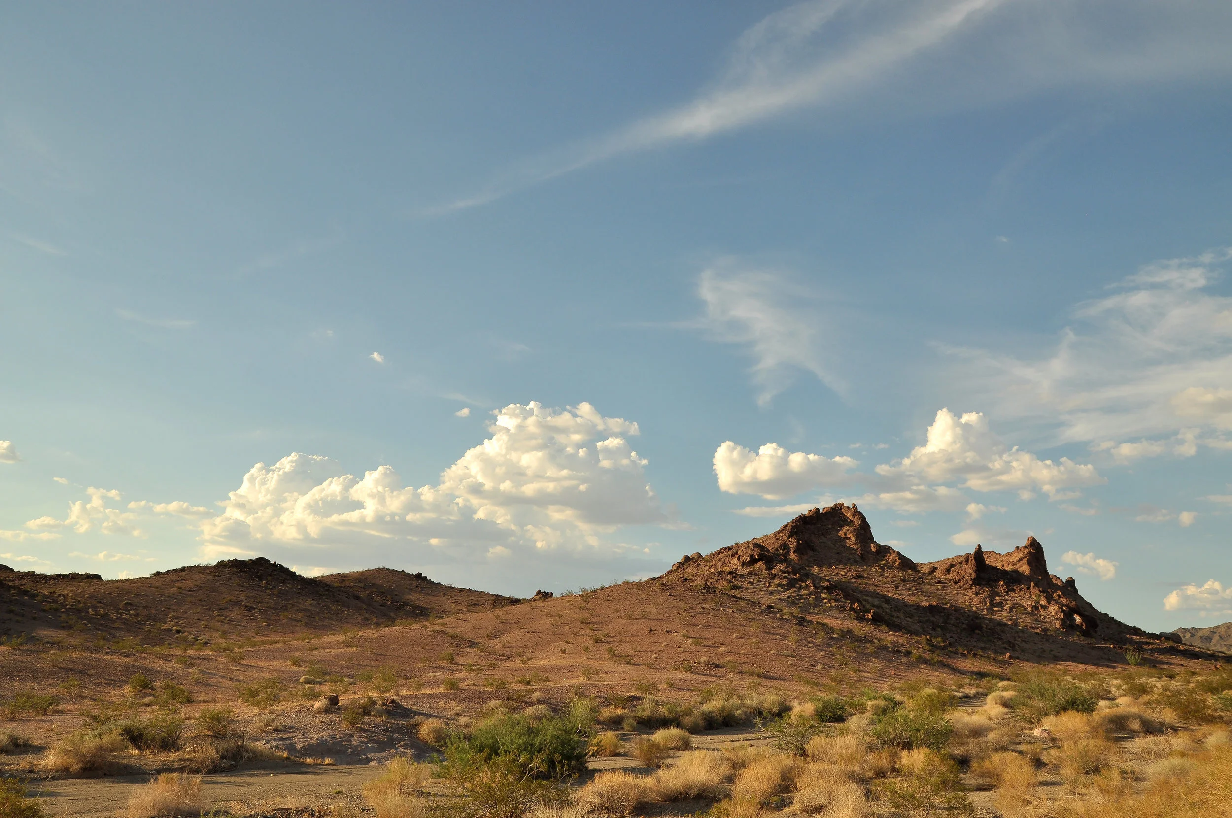 DSC_0349.jpg