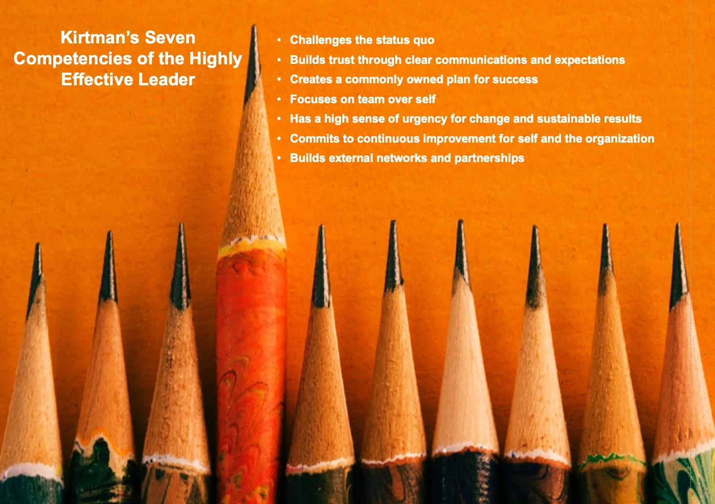 © Lyle Kirtman – Leadership: Key Competencies for Whole-System Change