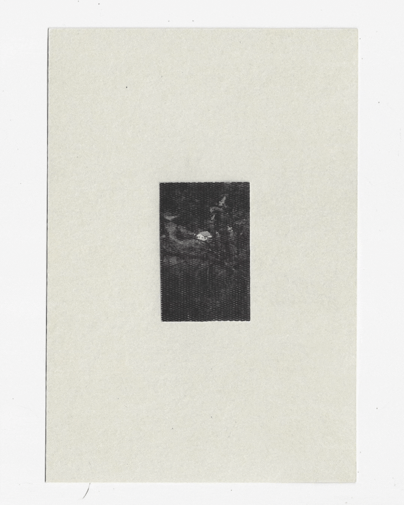 Diseño sin título.gif