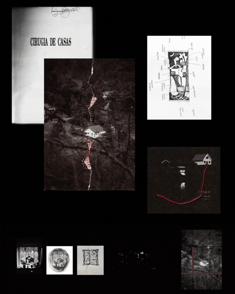 Diseño sin título (2).gif