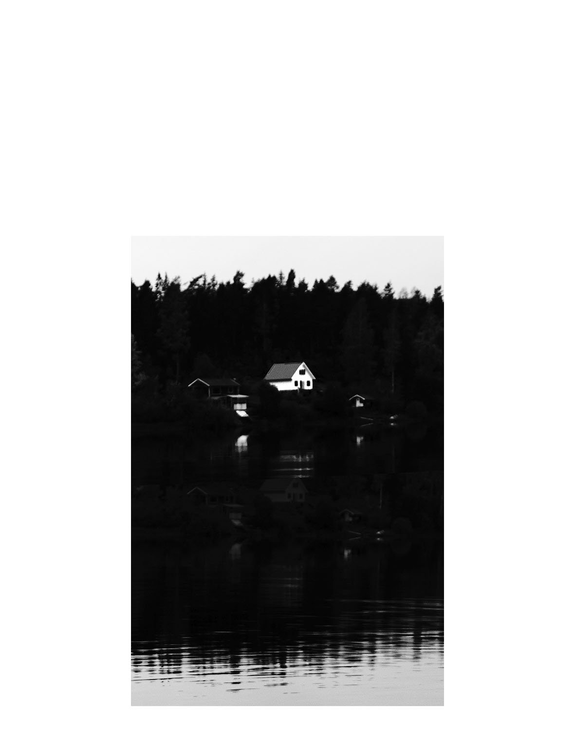 00-cd29-web-5.jpg